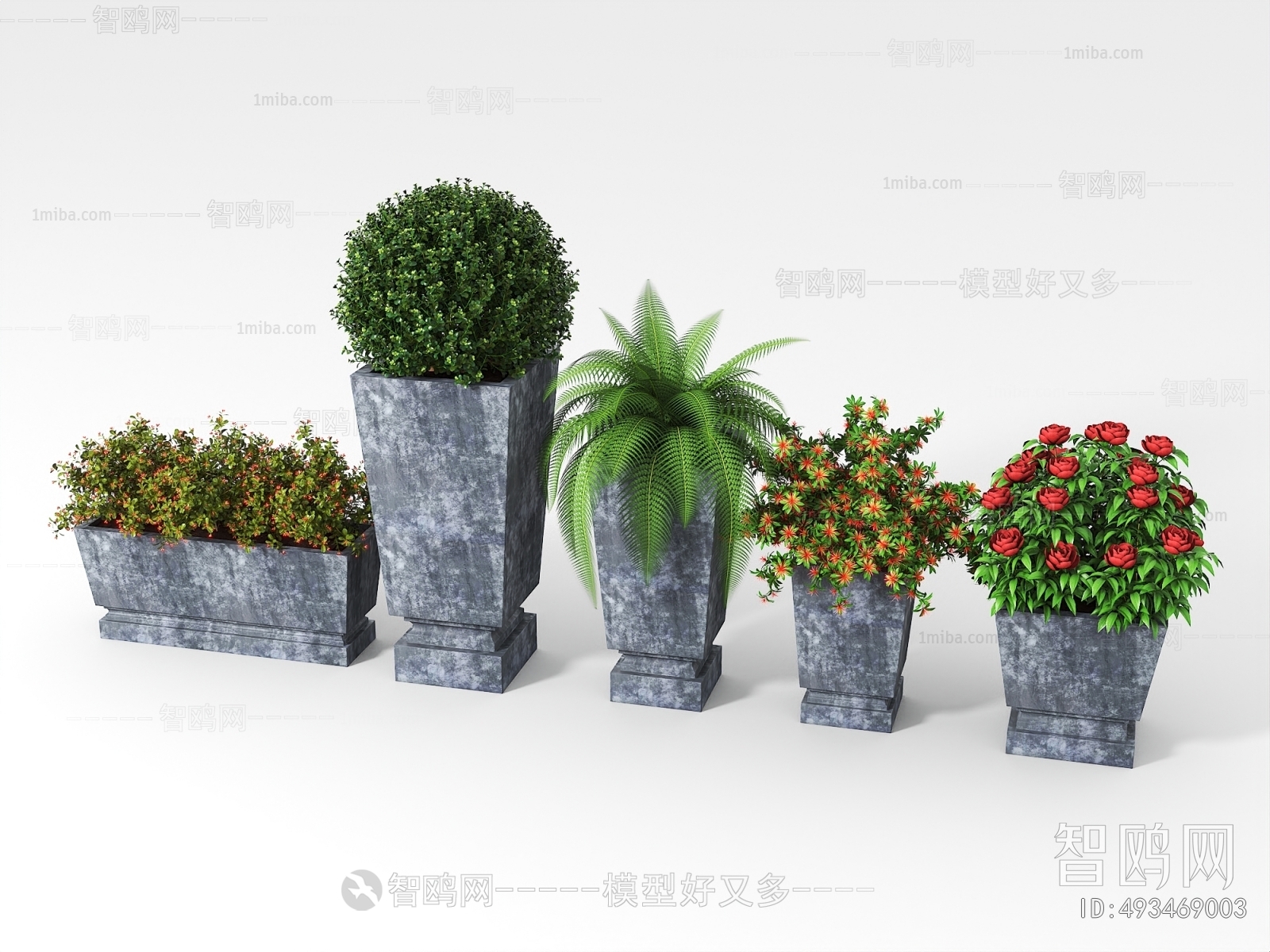 Modern Potted Green Plant