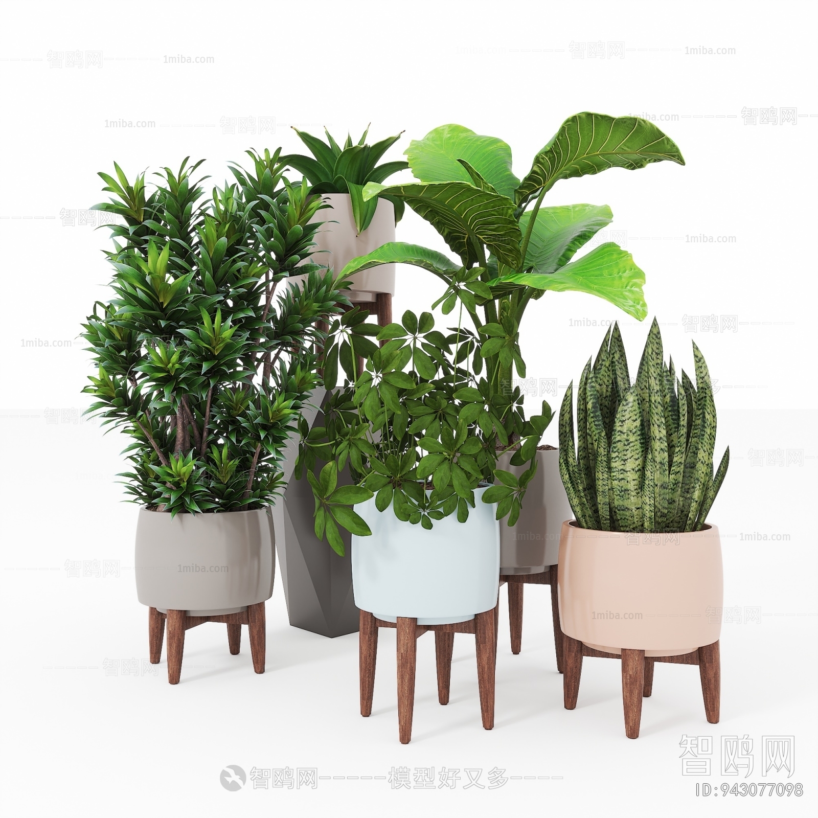 Modern Ground Green Plant Potted Plants