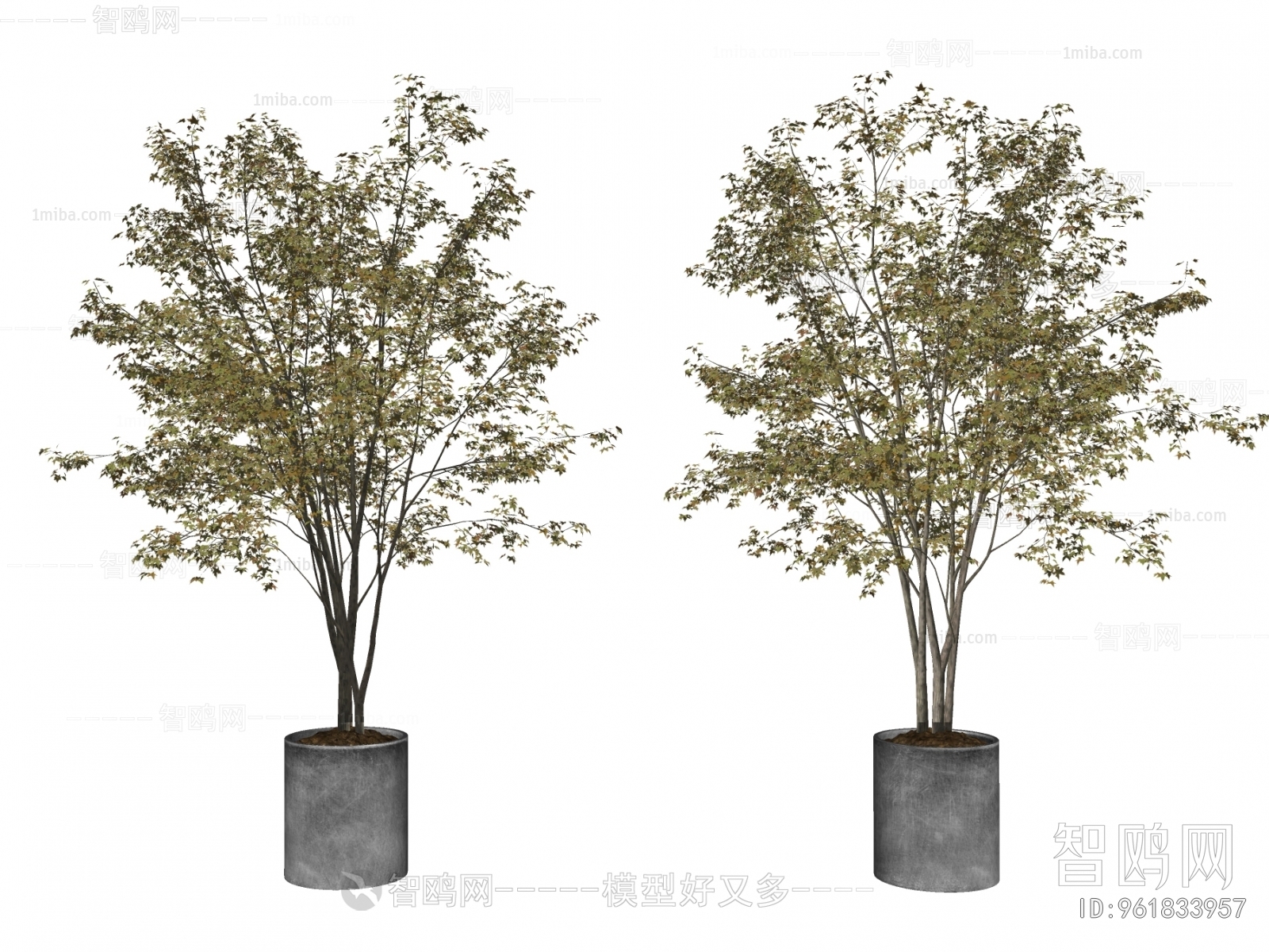 现代落地绿植盆栽