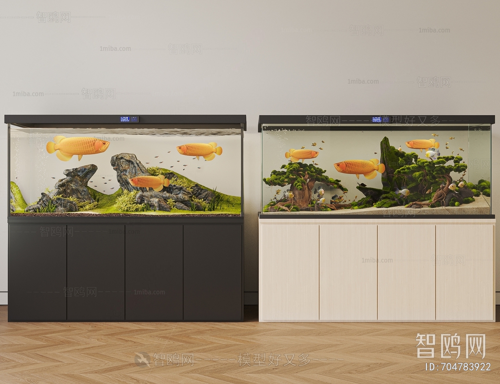 Modern Fish Tank