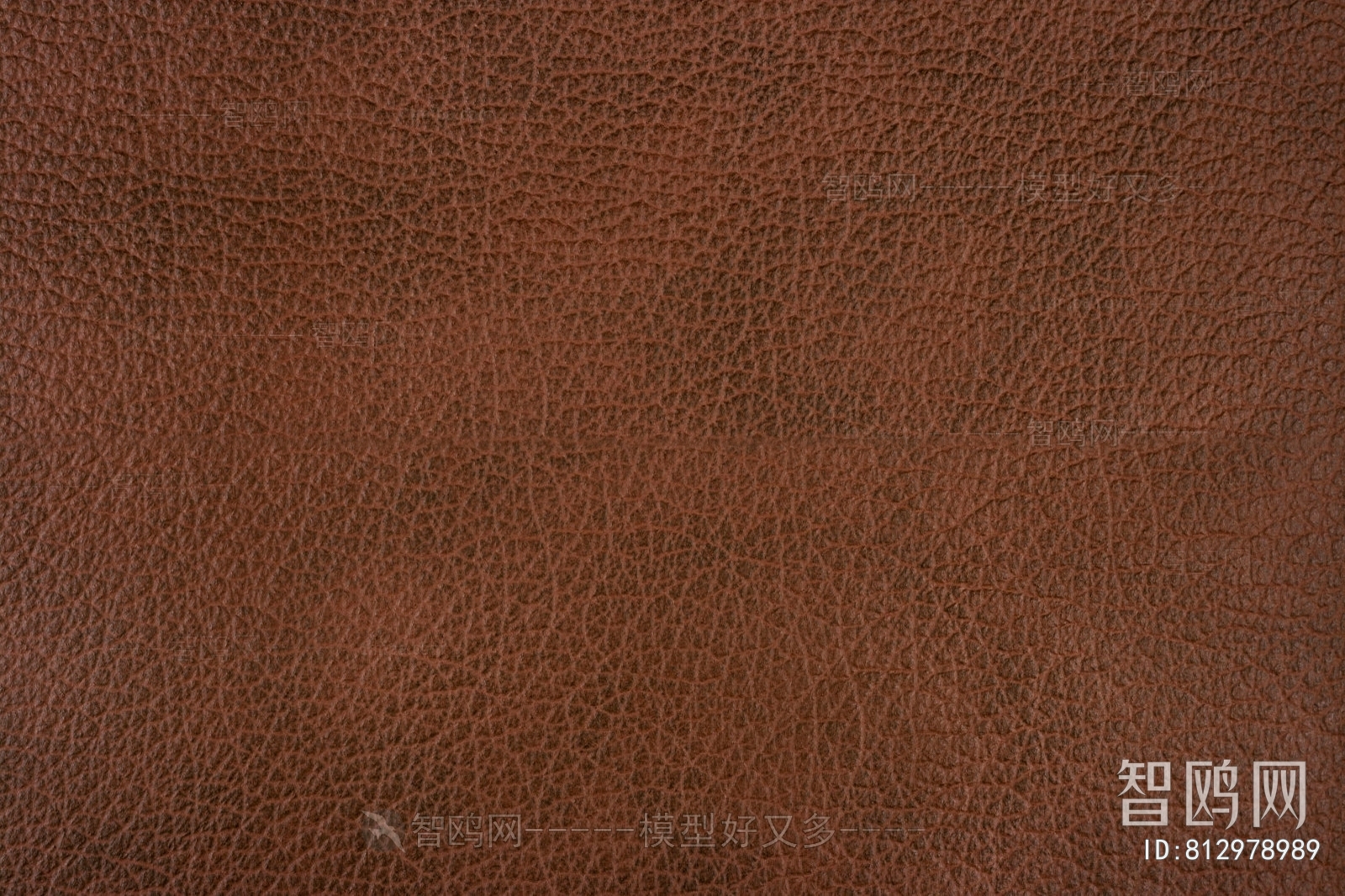 Rough Grain Leather