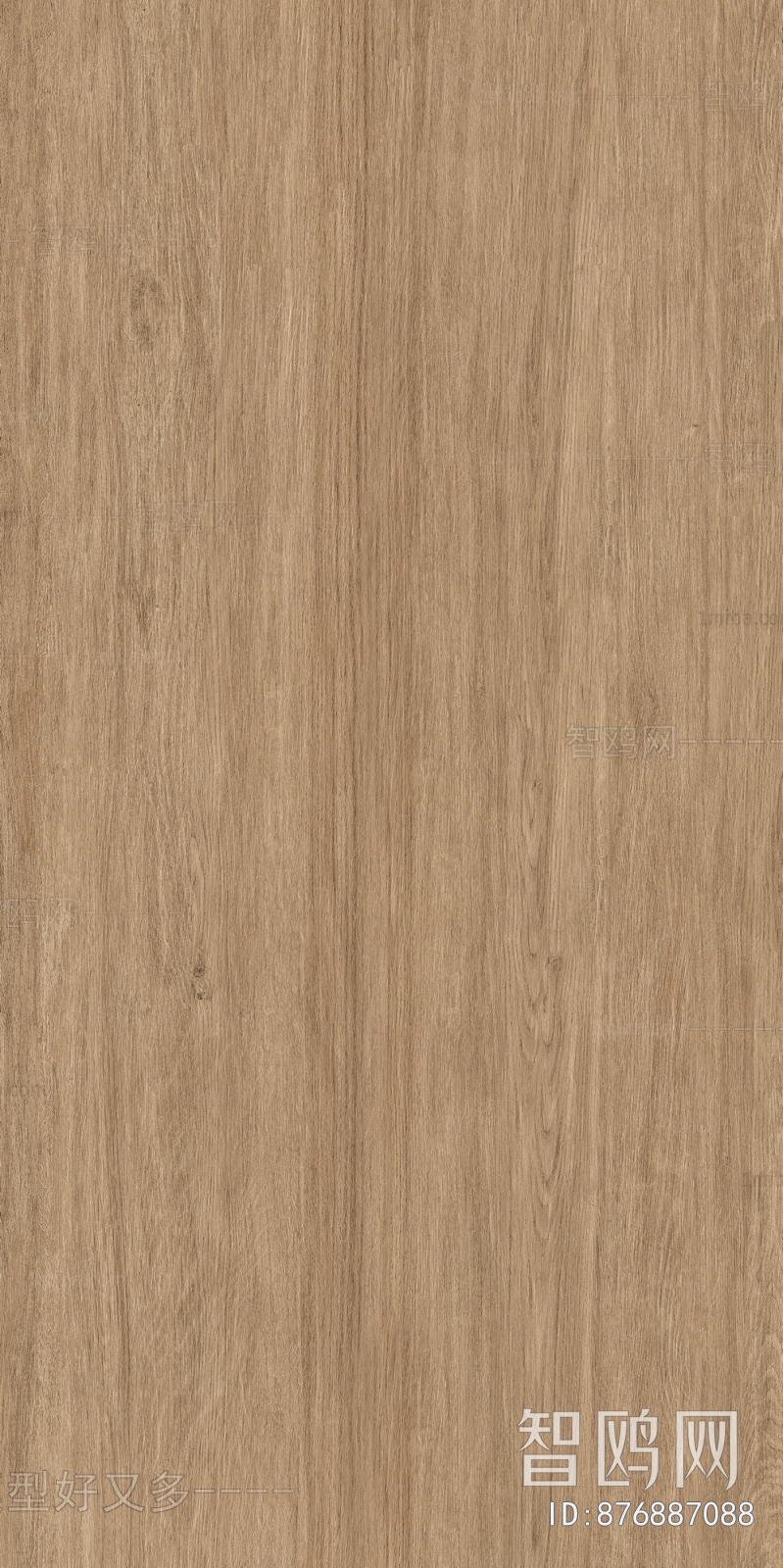 Wood Texture