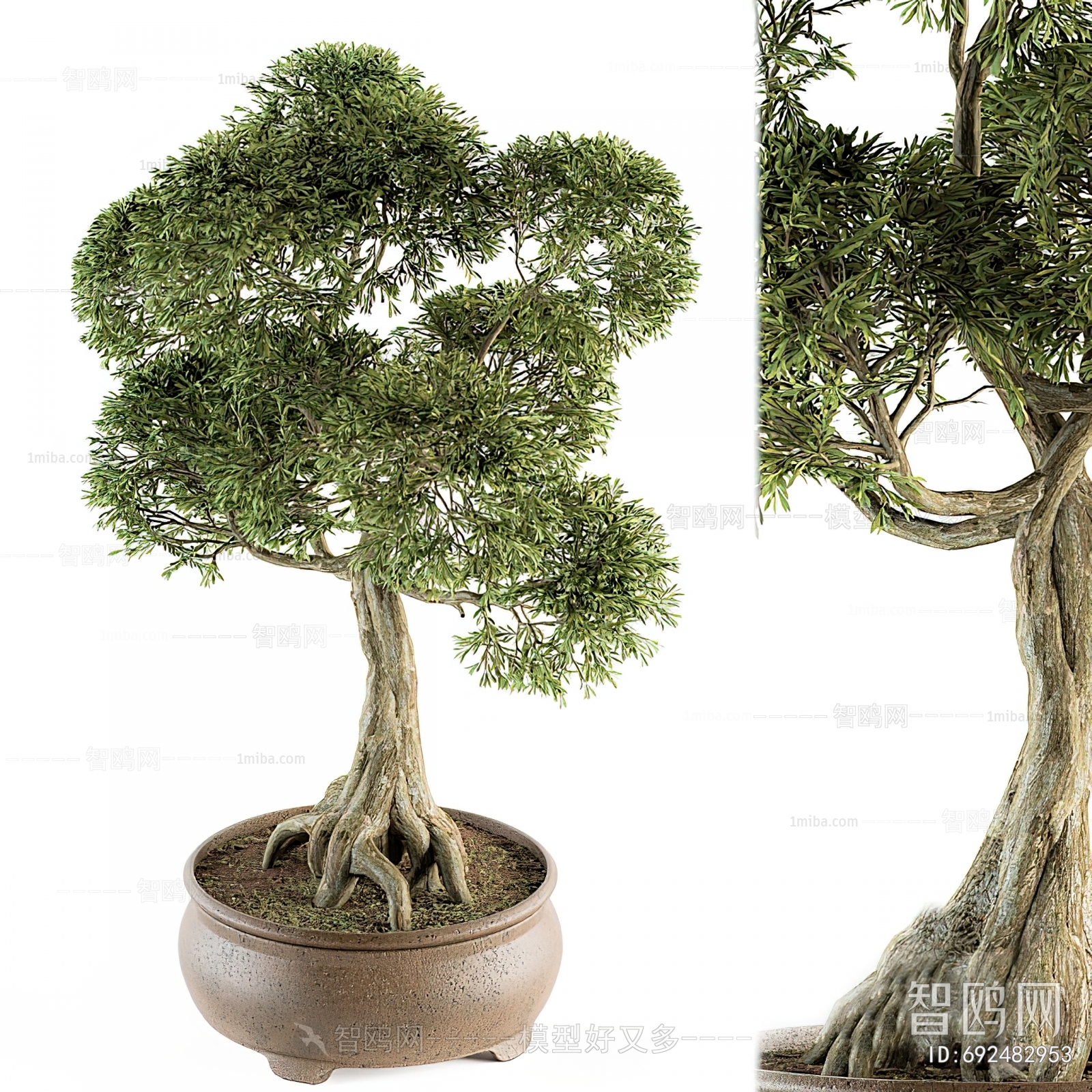 New Chinese Style Bonsai