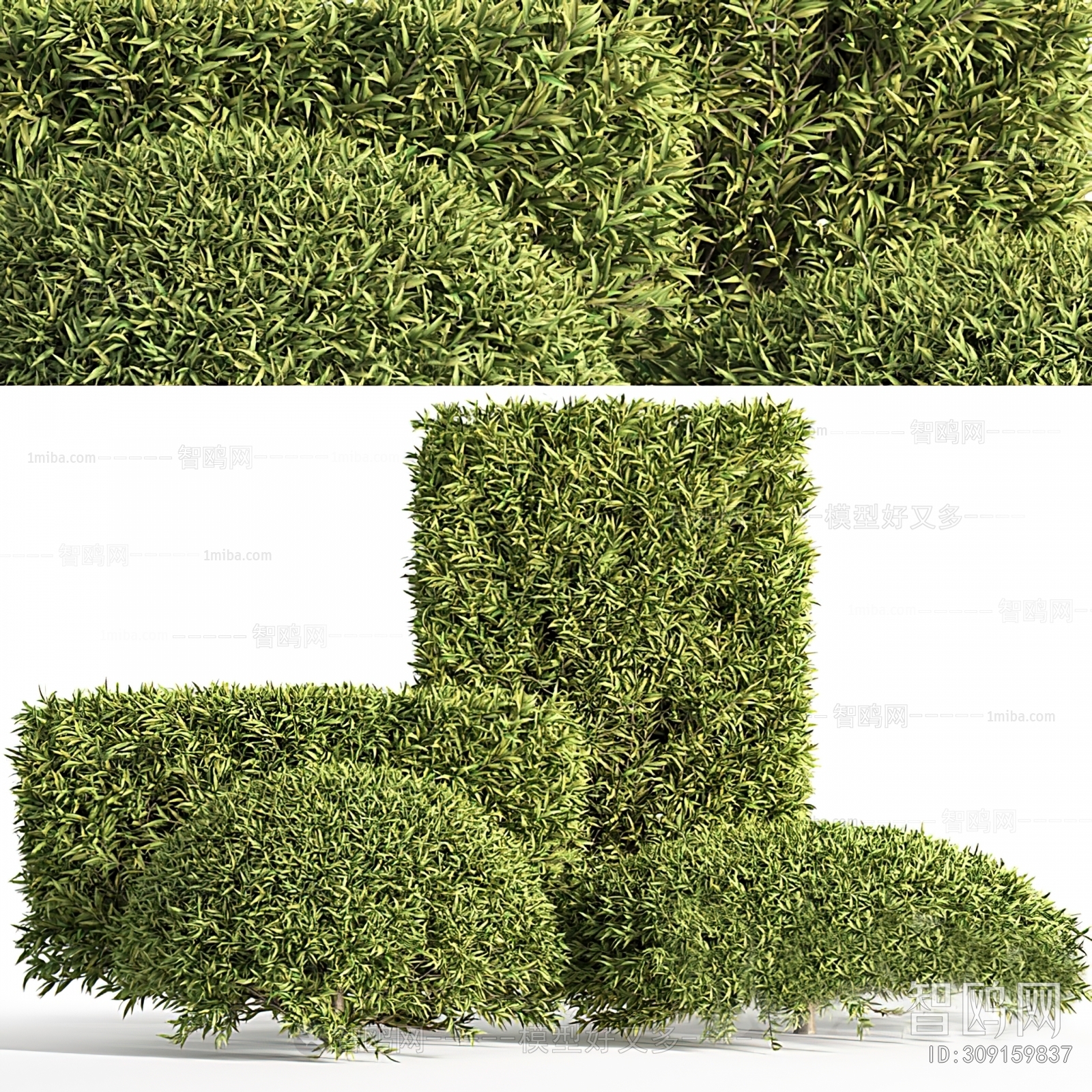 Modern Shrubbery