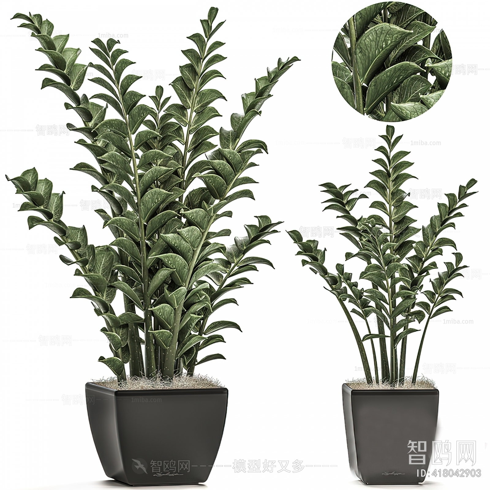 Modern Ground Green Plant Potted Plants