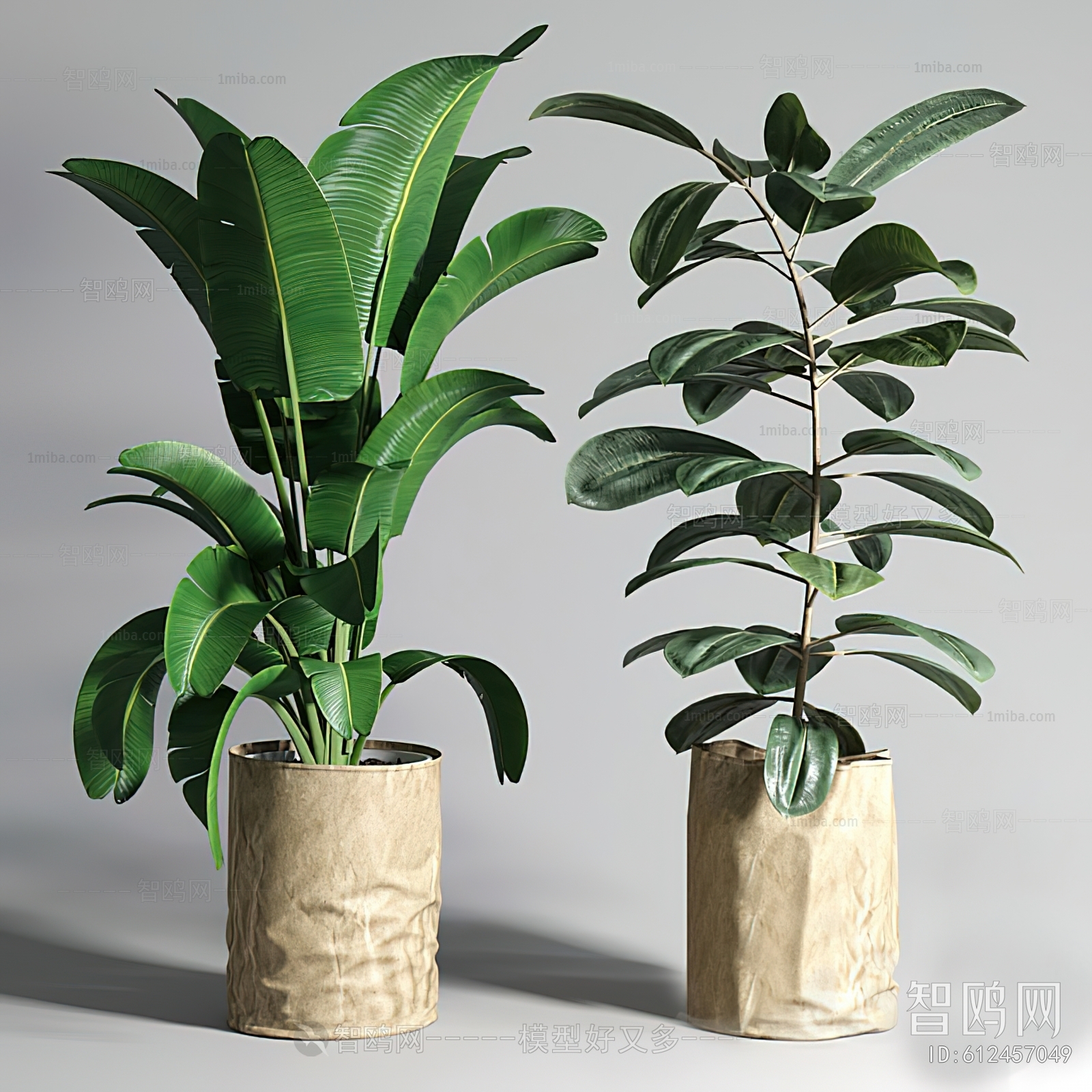 Modern Ground Green Plant Potted Plants