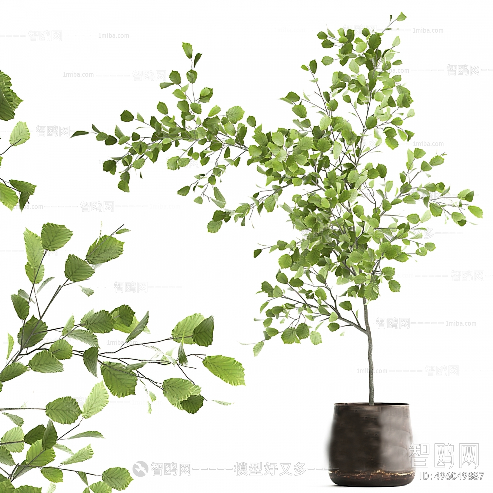 Modern Ground Green Plant Potted Plants