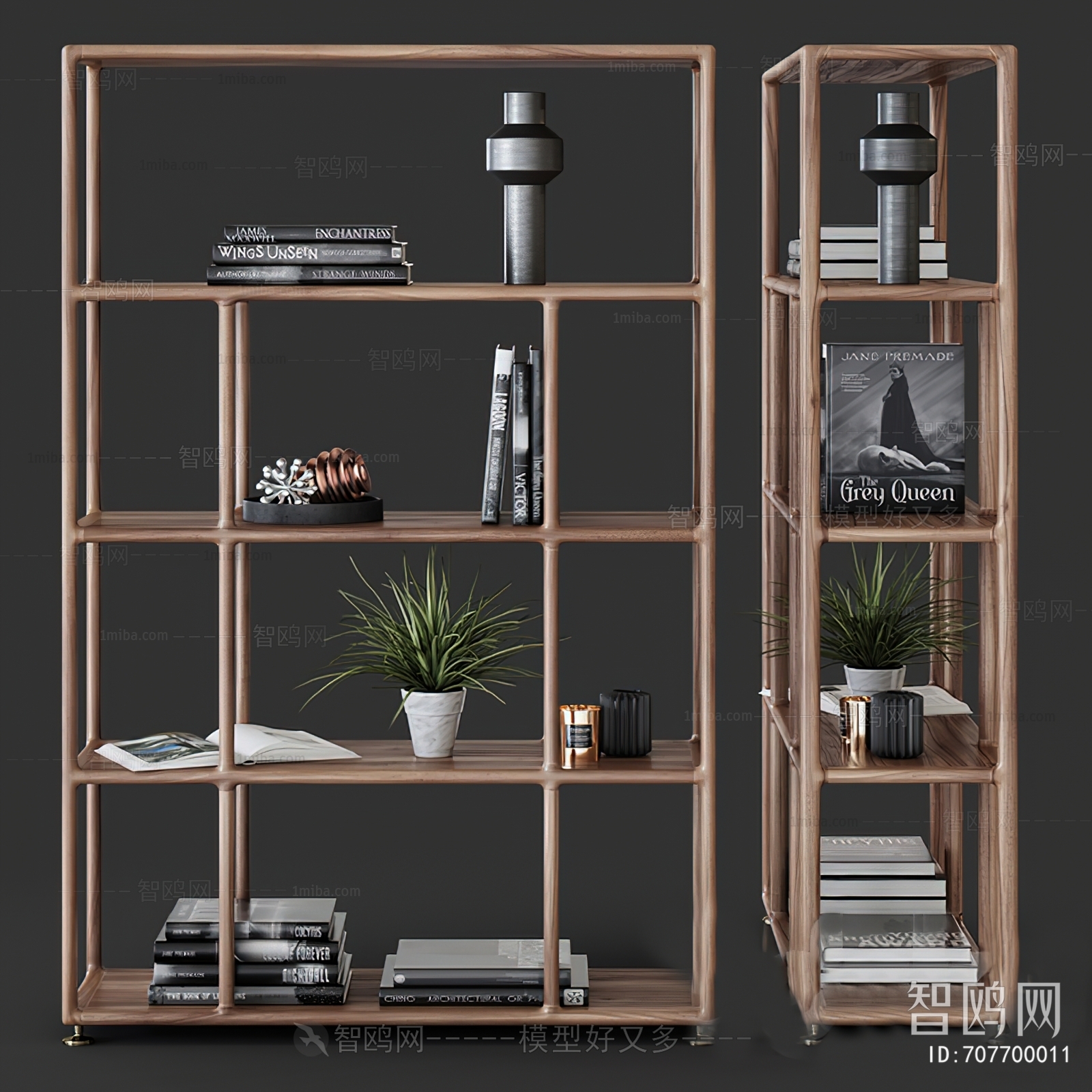 Modern Bookshelf