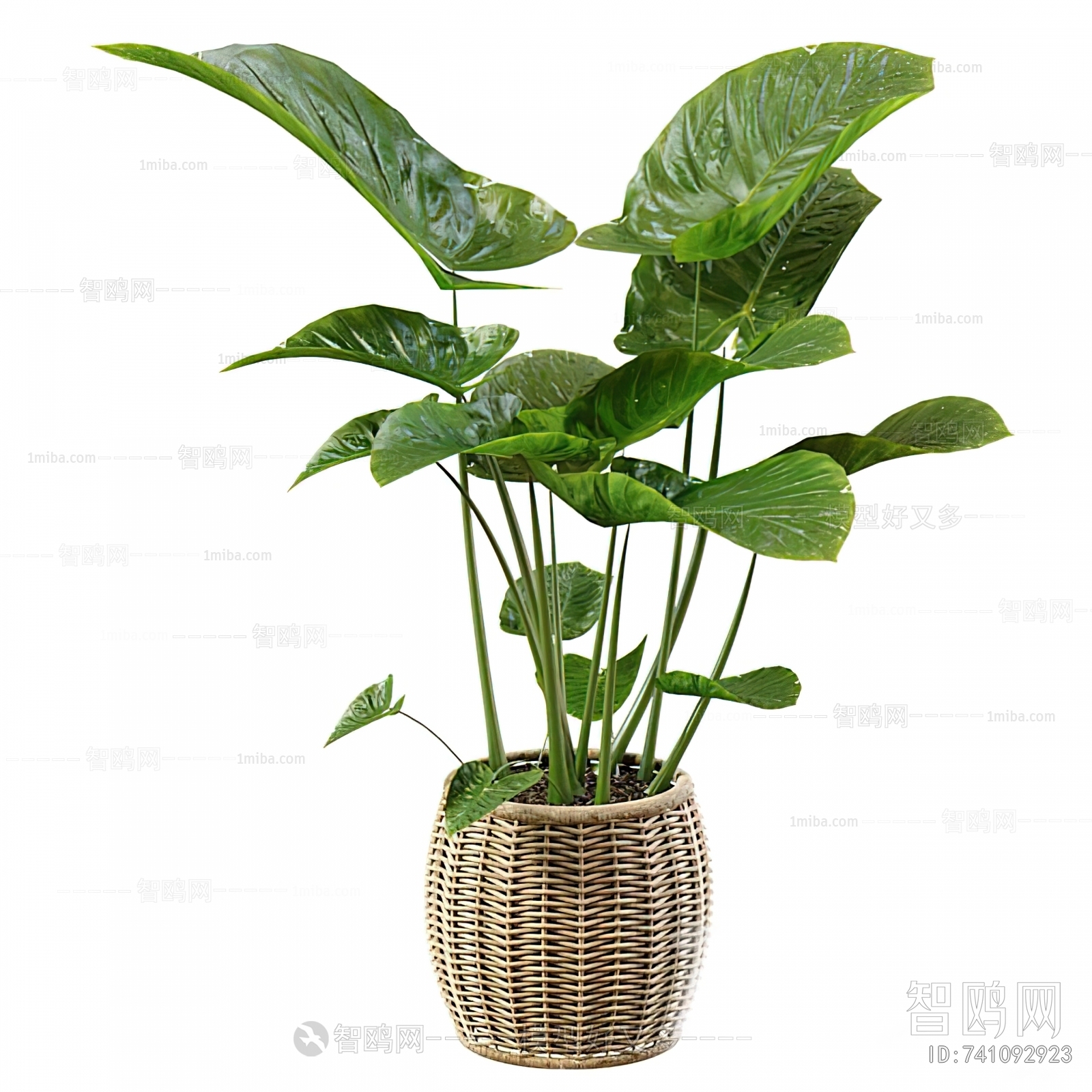 Modern Ground Green Plant Potted Plants