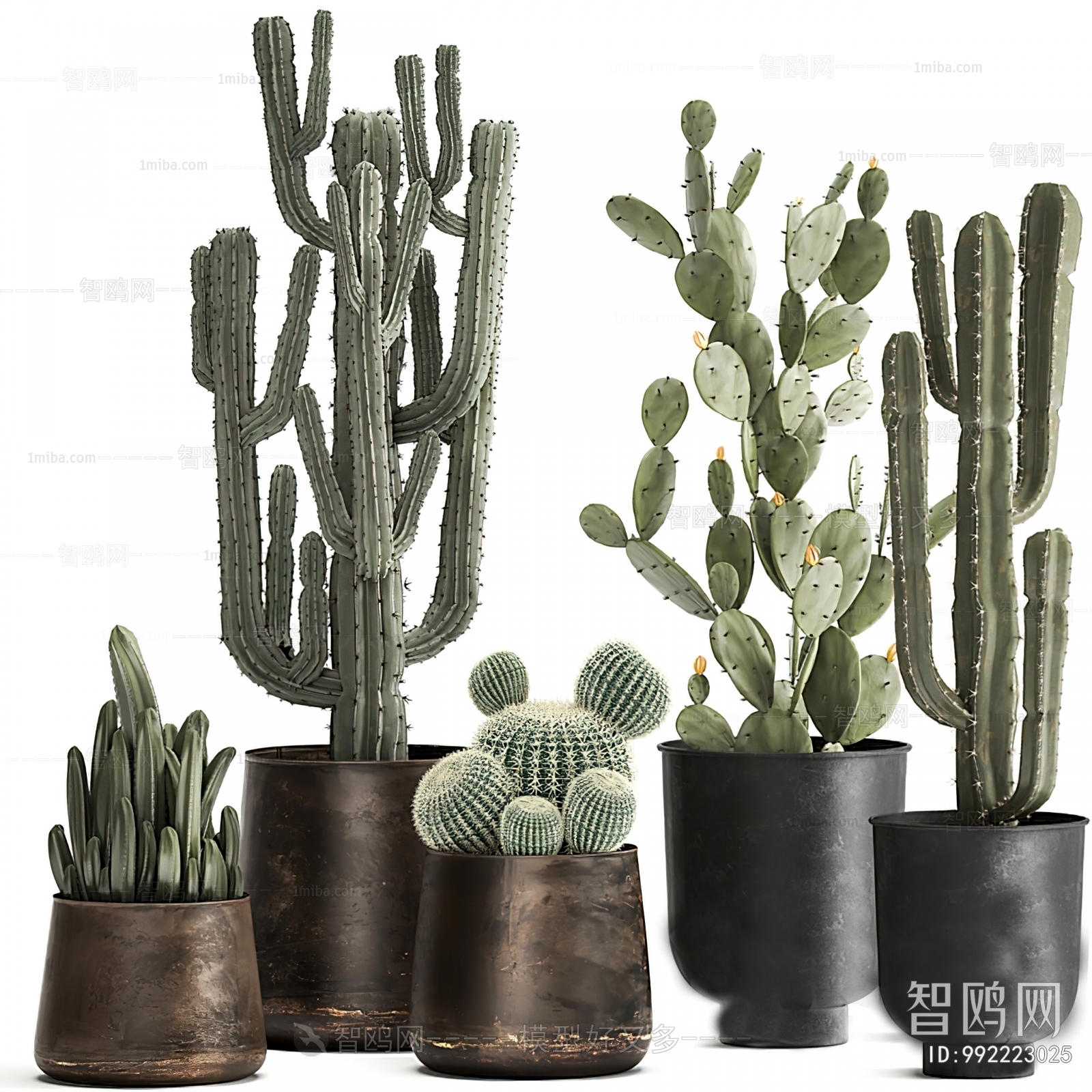 Modern Ground Green Plant Potted Plants