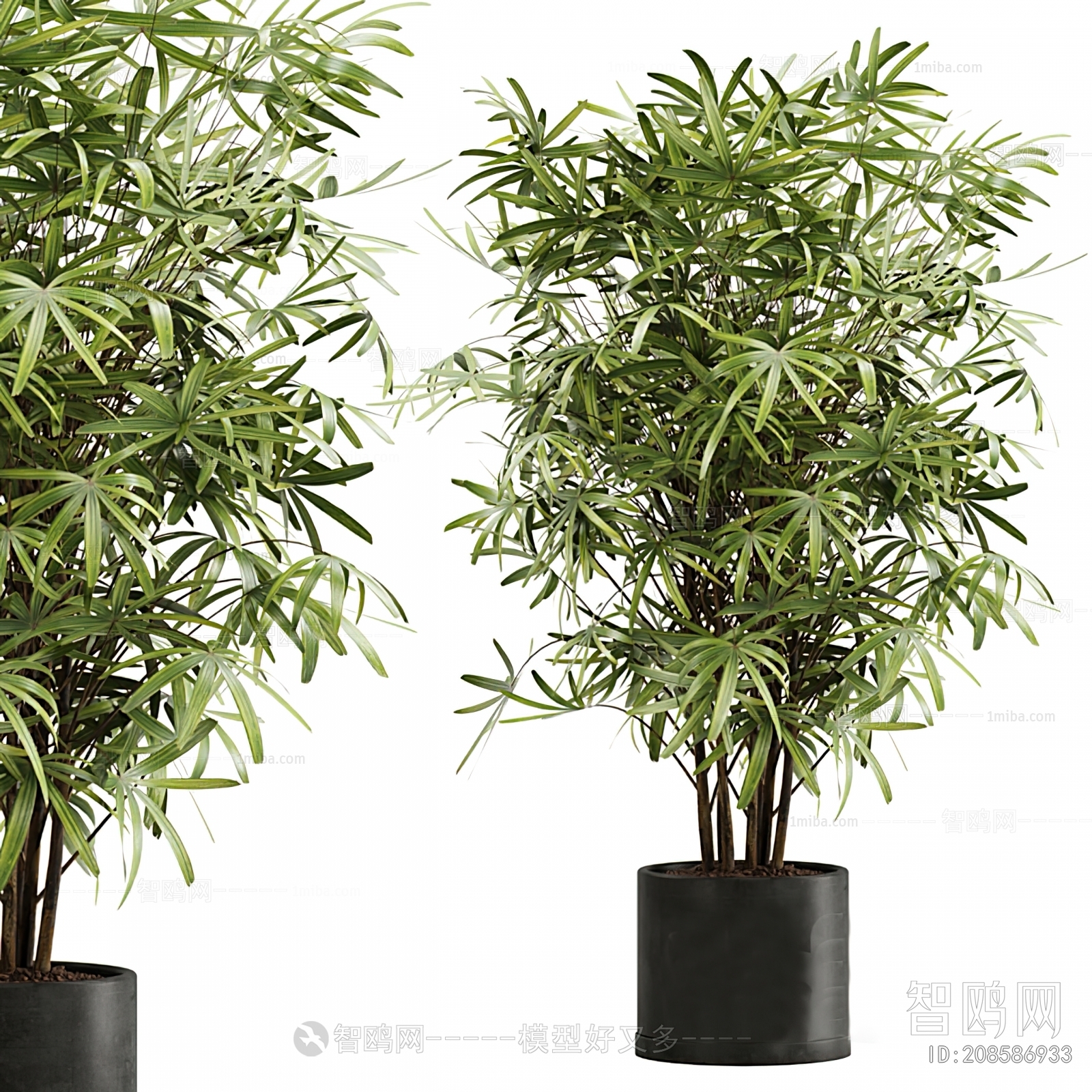 Modern Ground Green Plant Potted Plants