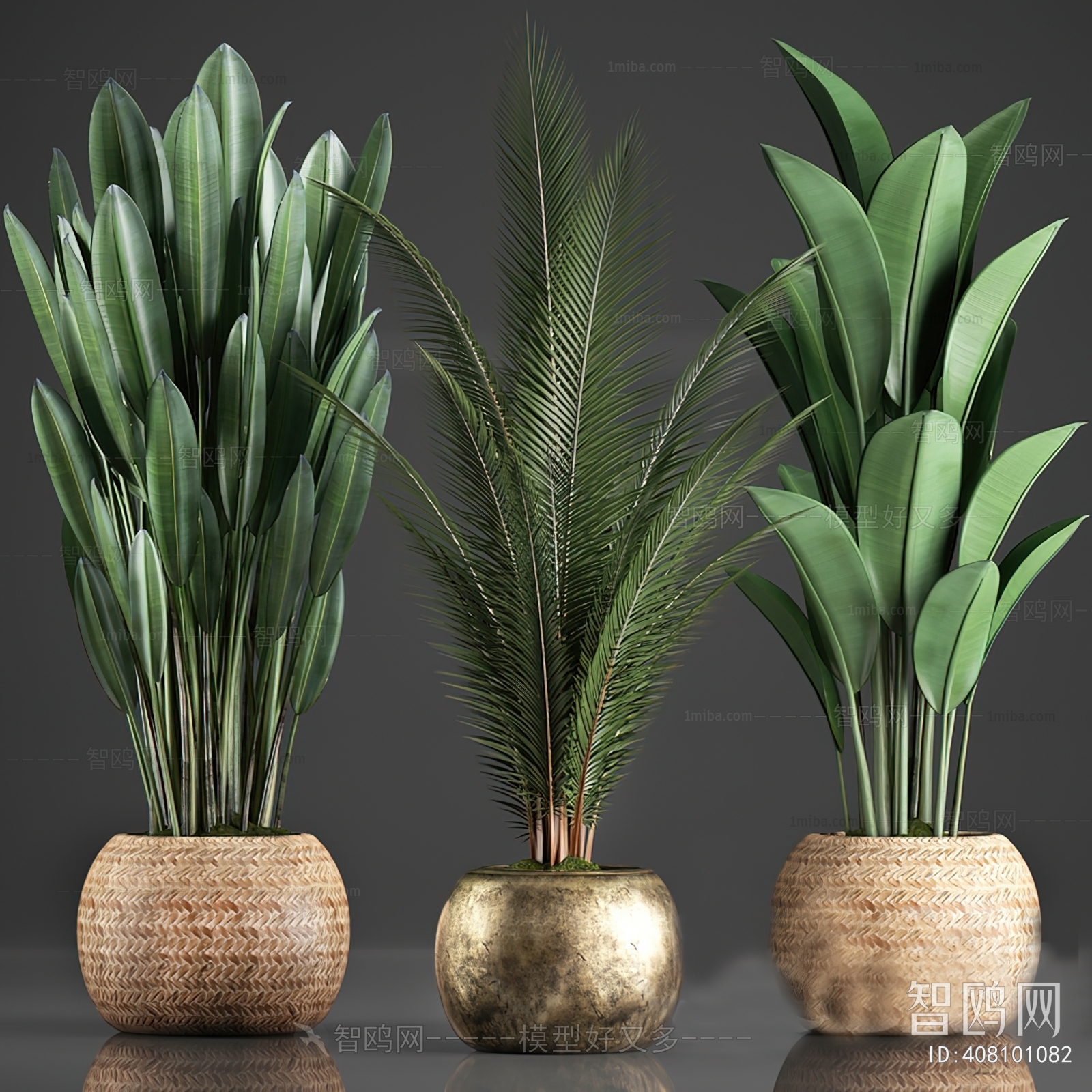 Modern Ground Green Plant Potted Plants