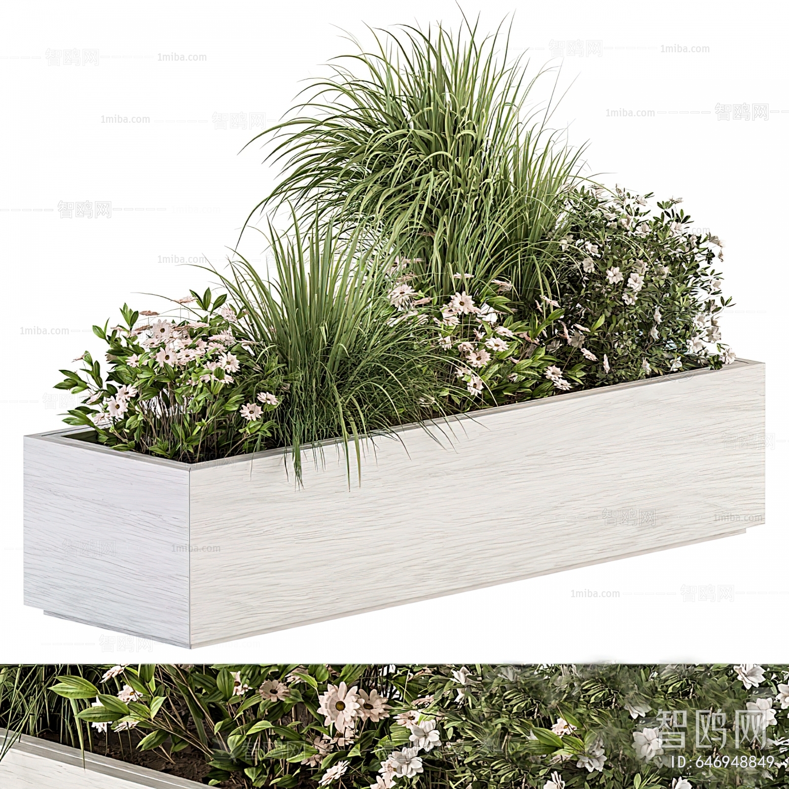 Modern Flower Bed, Flower Bowl, Flower Box