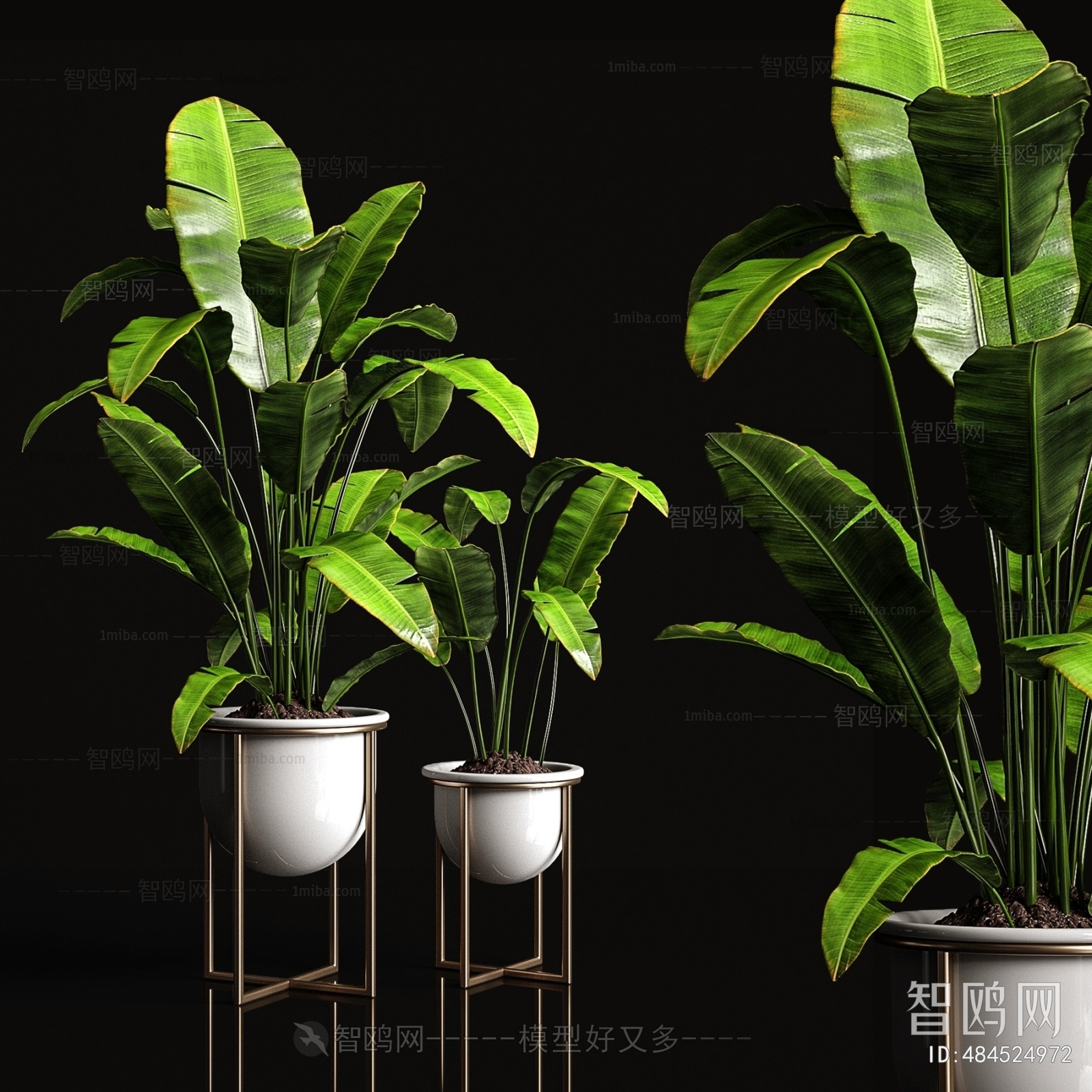 Modern Potted Green Plant