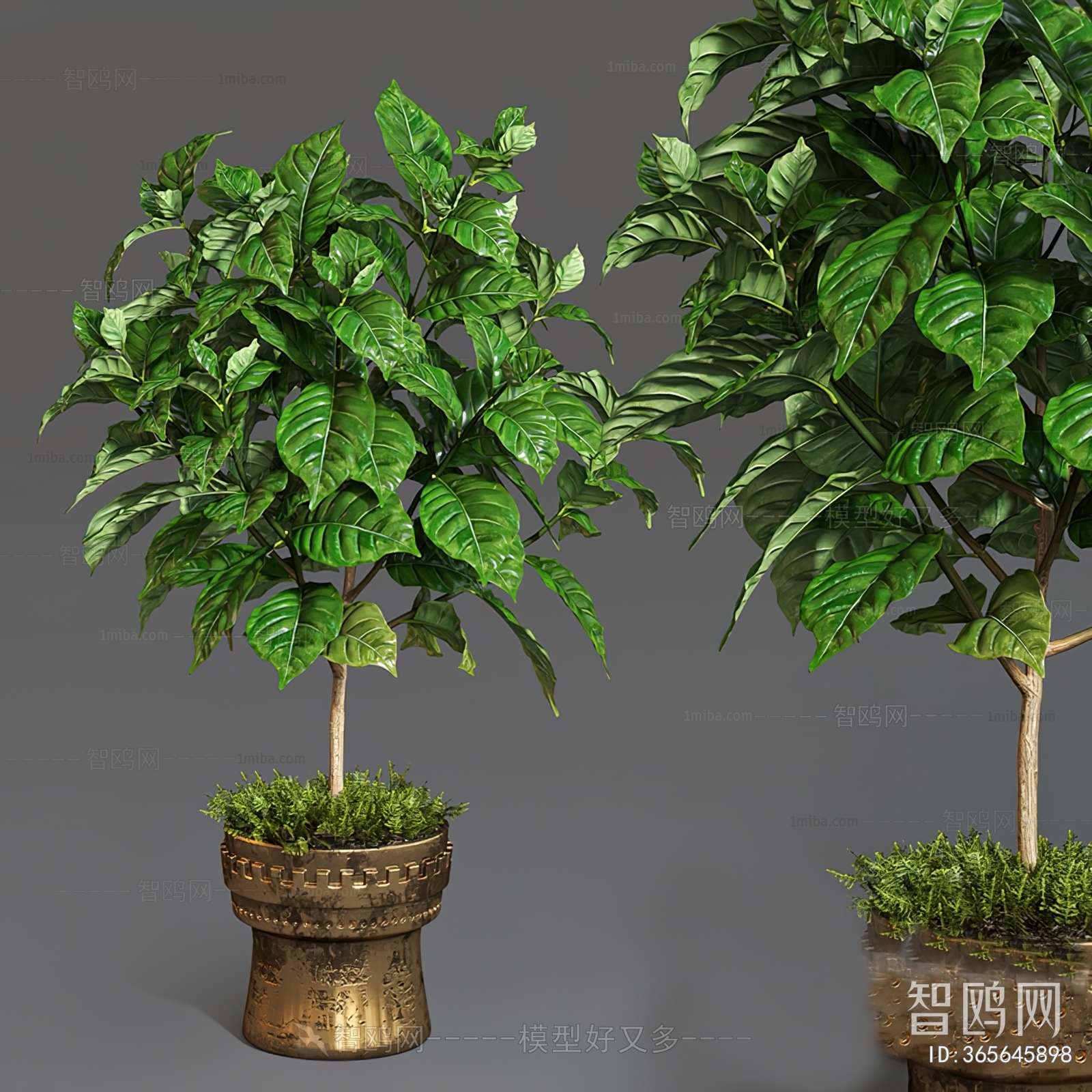 Modern Ground Green Plant Potted Plants