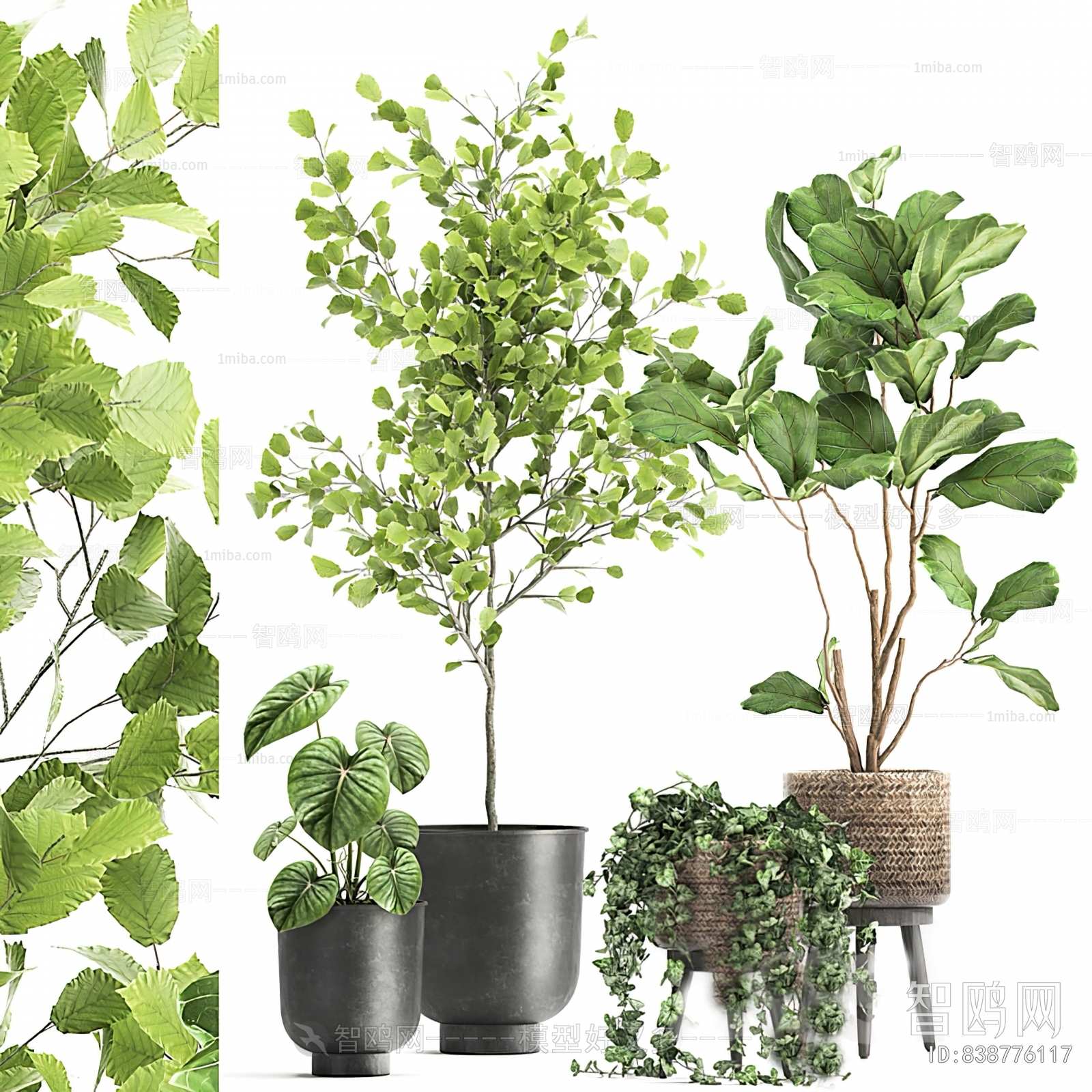 Modern Ground Green Plant Potted Plants