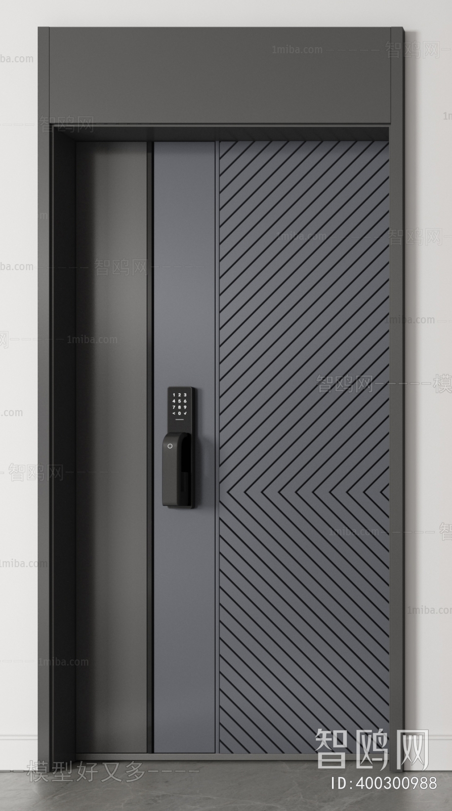 Modern Entrance Door