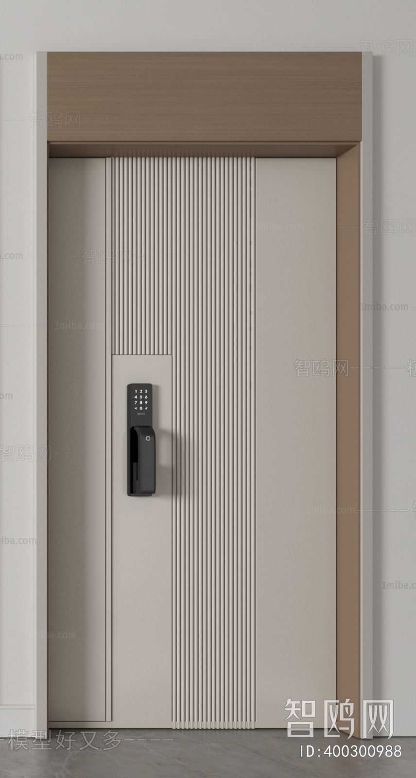 Modern Entrance Door