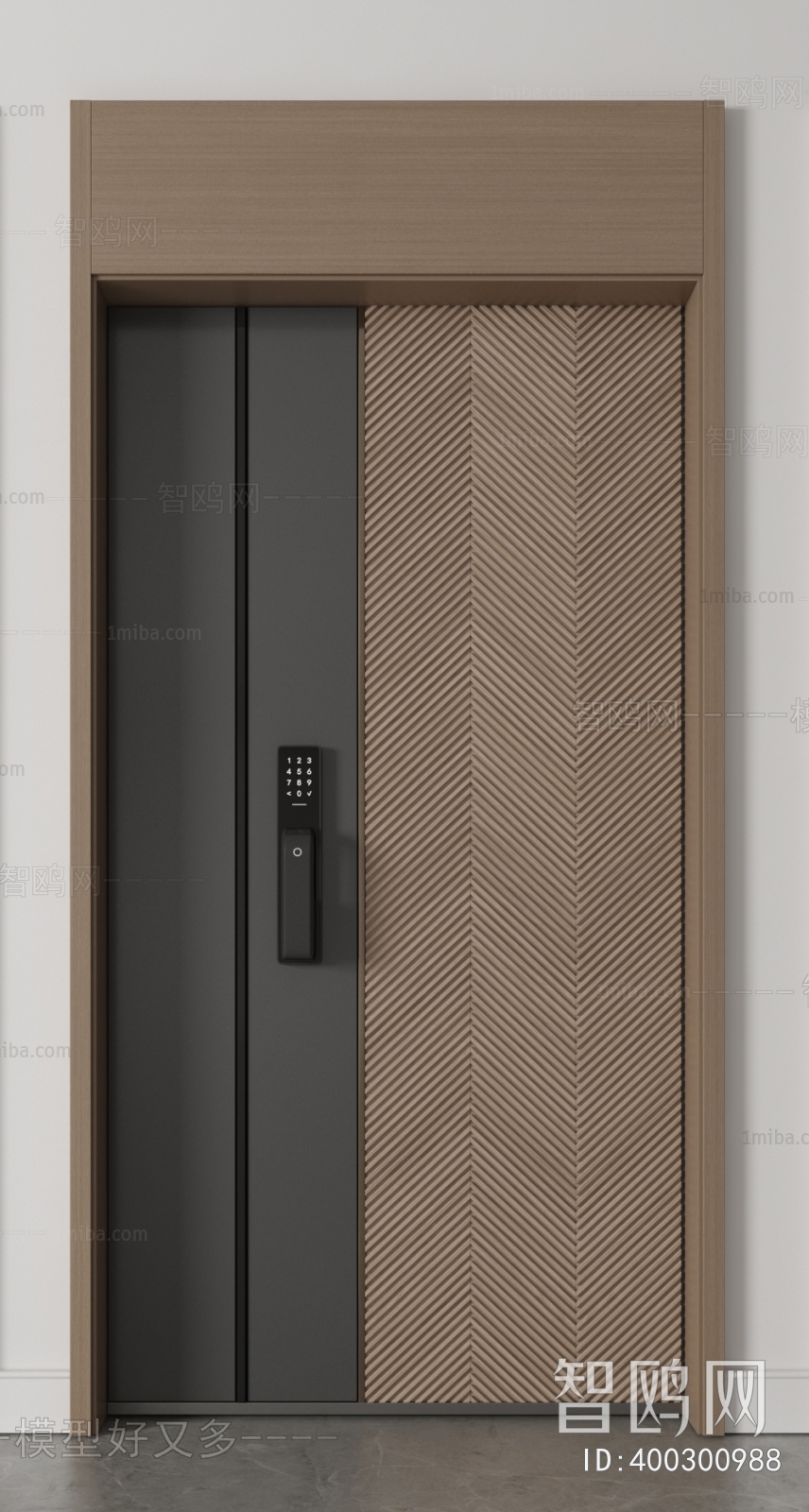 Modern Entrance Door