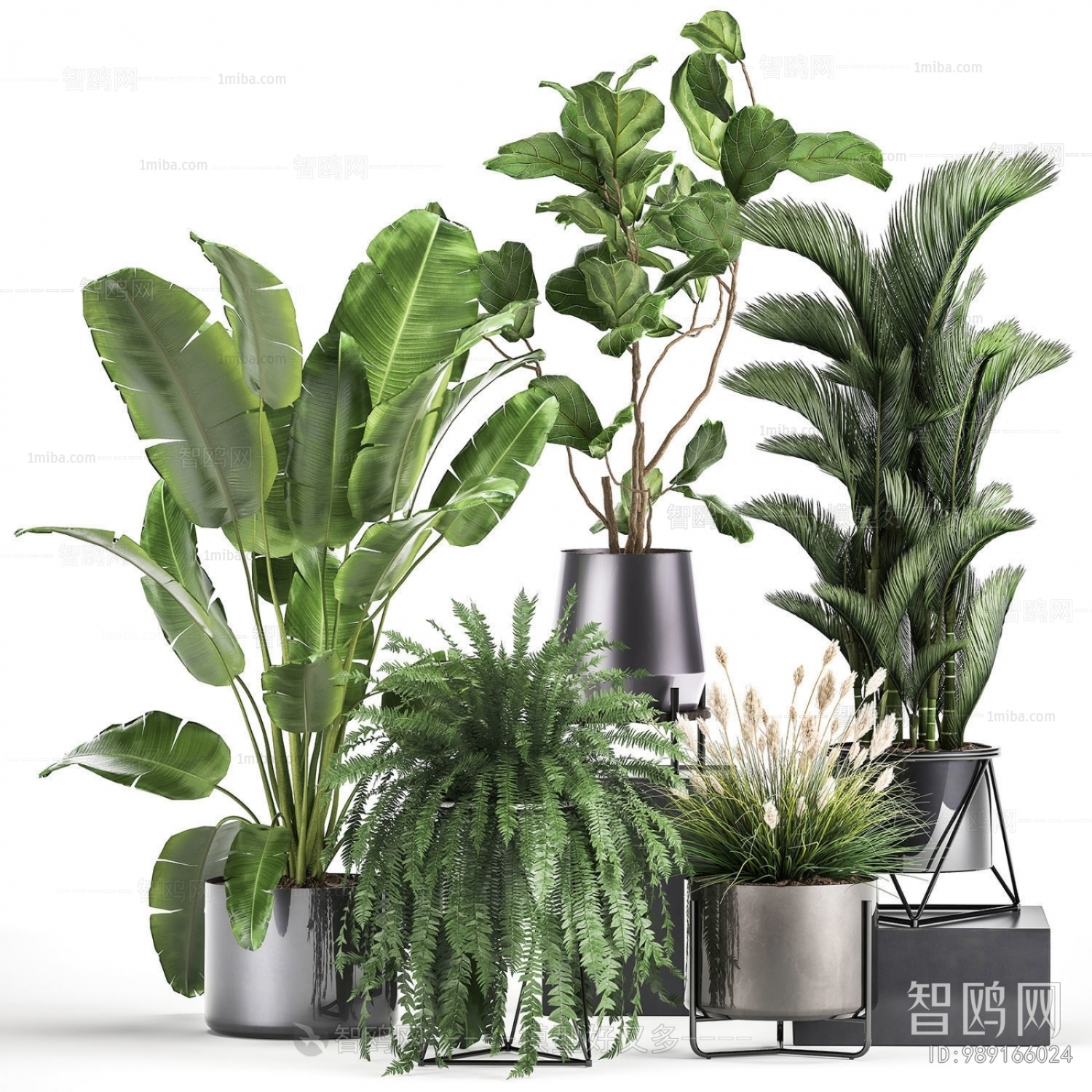 Modern Potted Green Plant