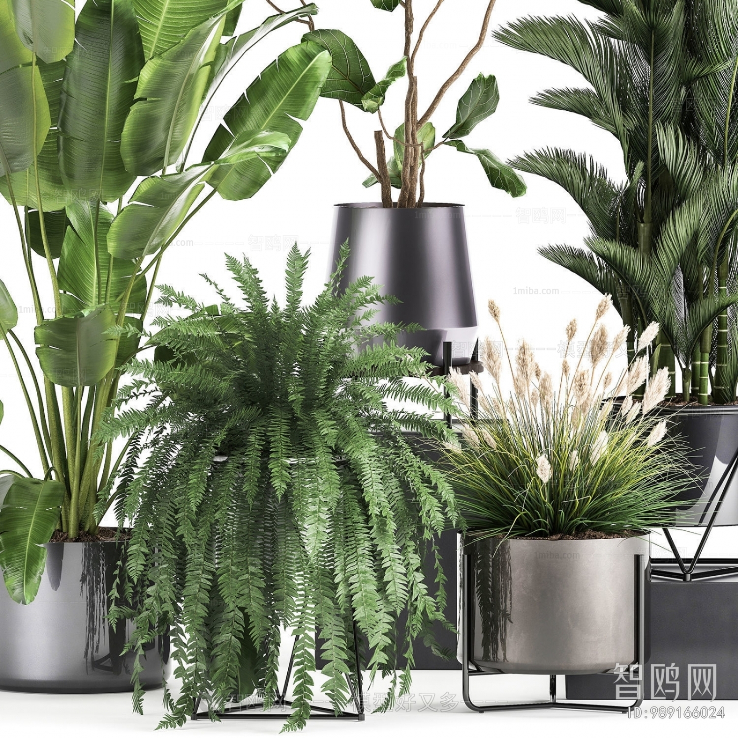 Modern Potted Green Plant