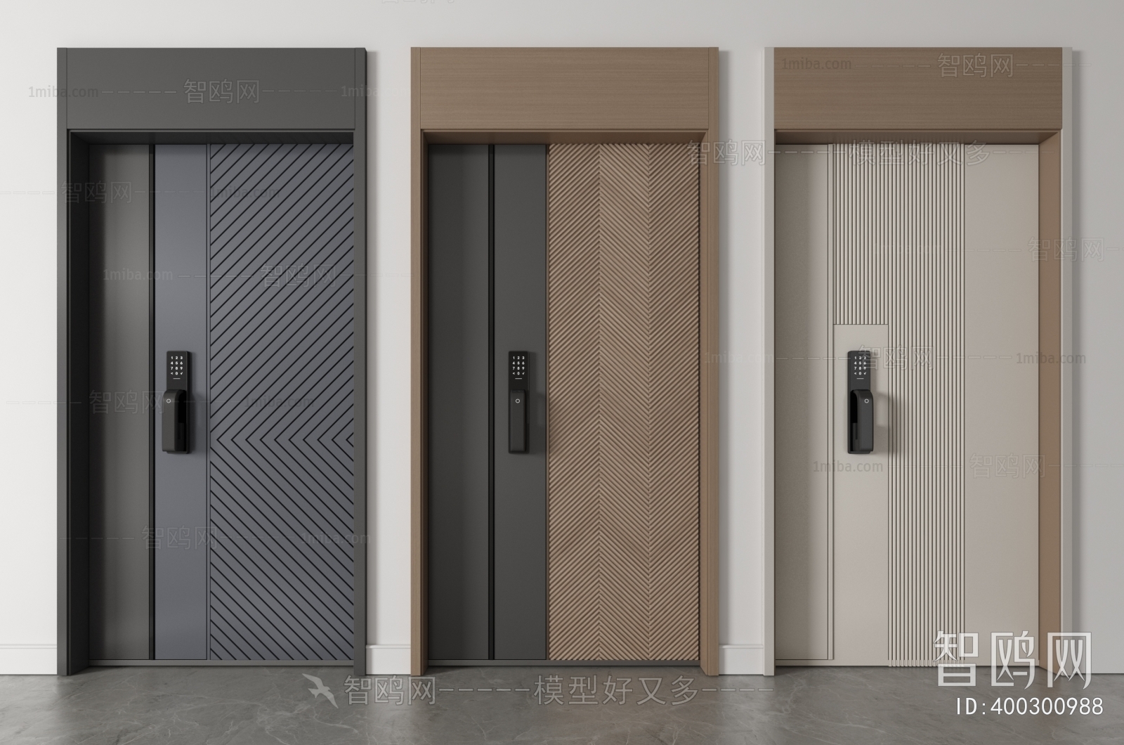 Modern Entrance Door