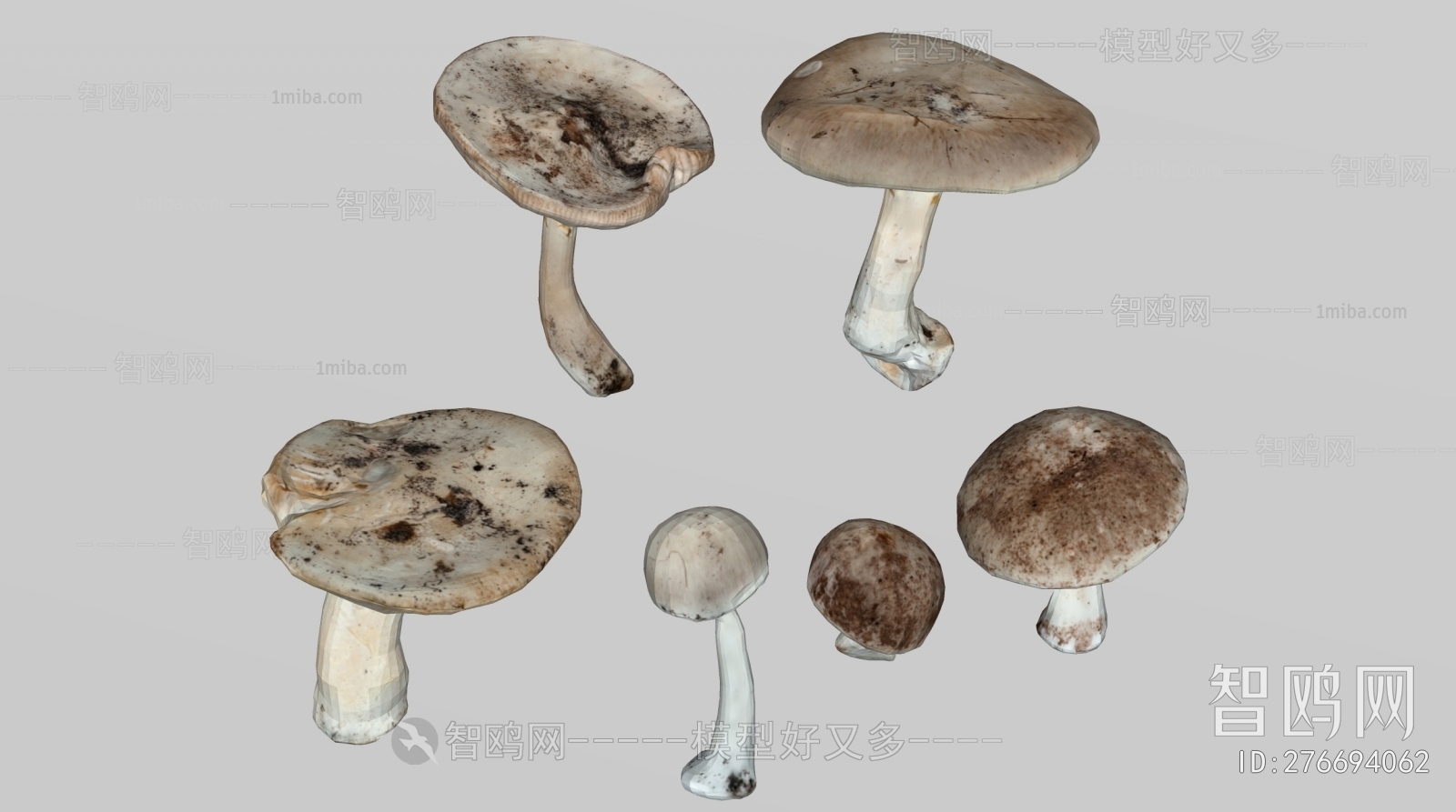 现代蘑菇 香菇