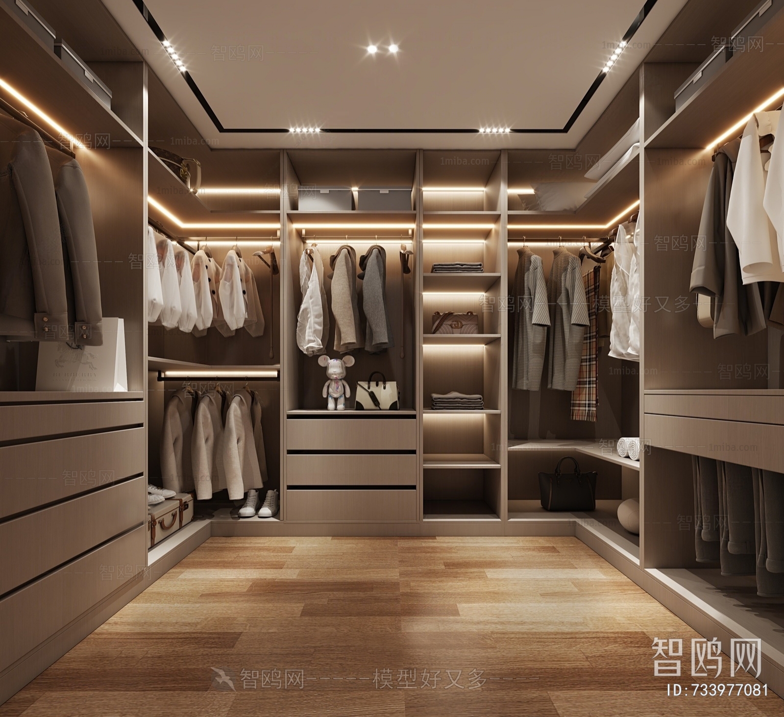 Modern Clothes Storage Area