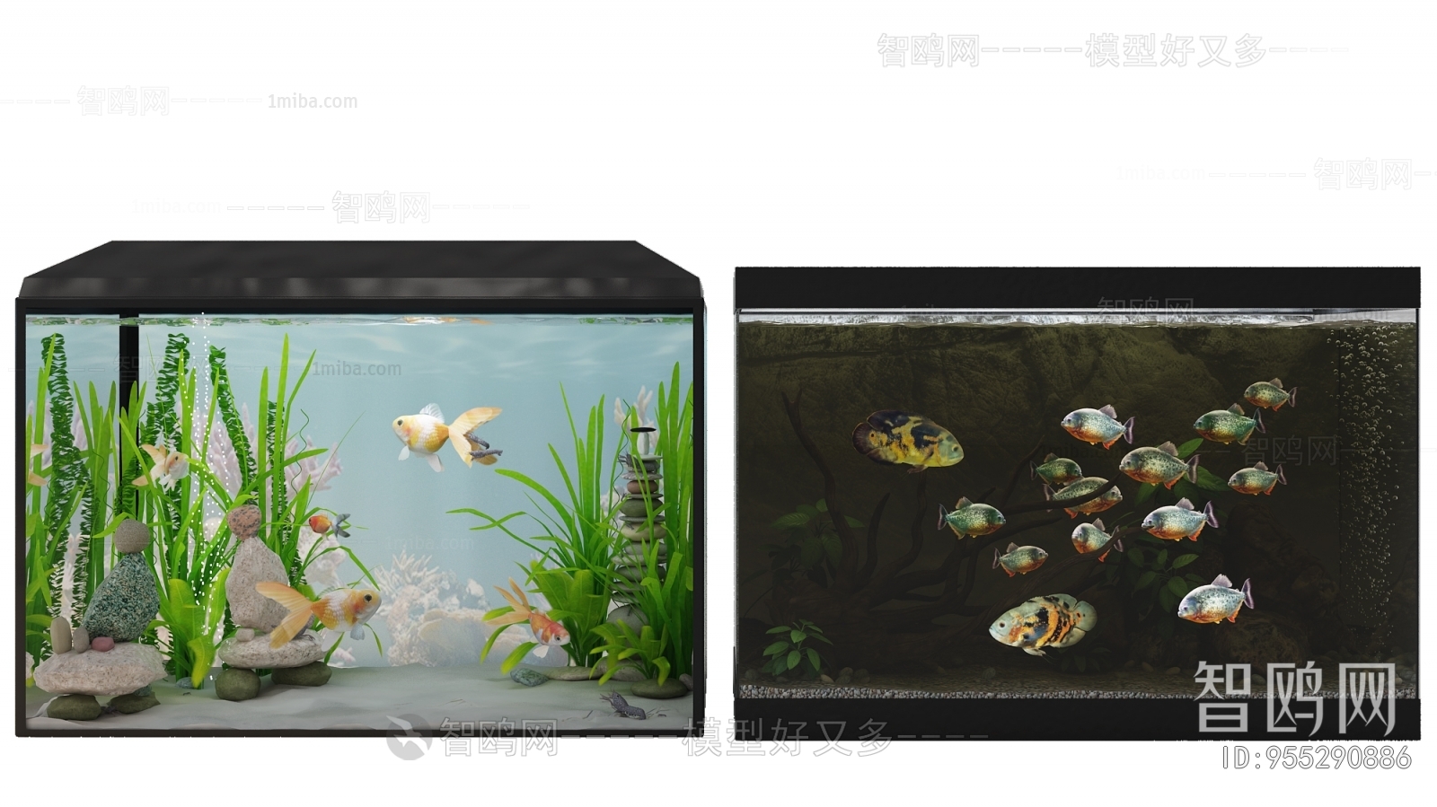 Modern Fish Tank