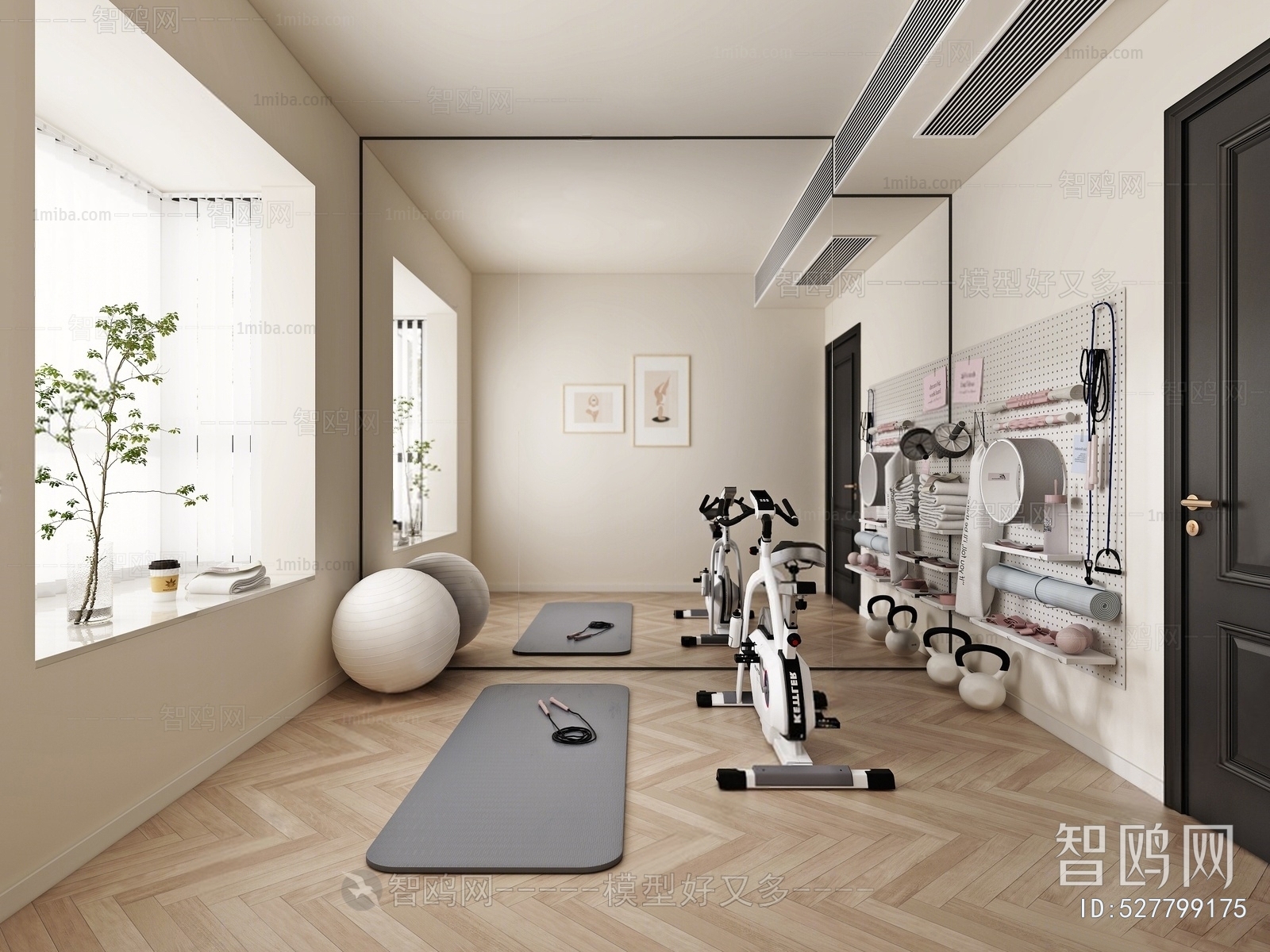 Modern Home Fitness Room