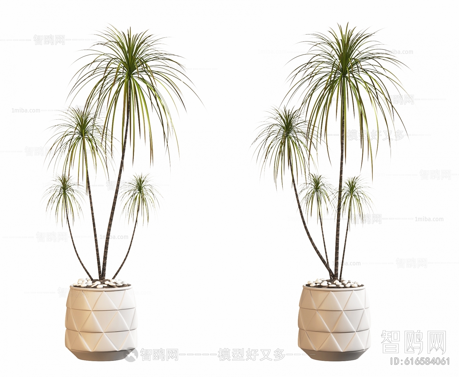 Modern Ground Green Plant Potted Plants