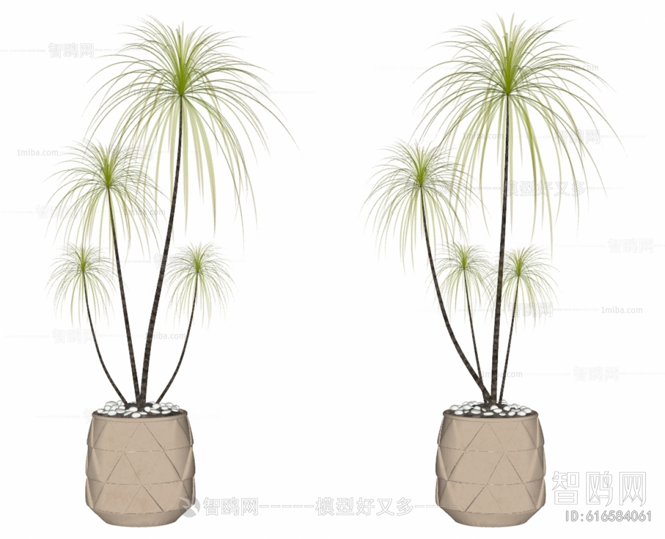 Modern Ground Green Plant Potted Plants