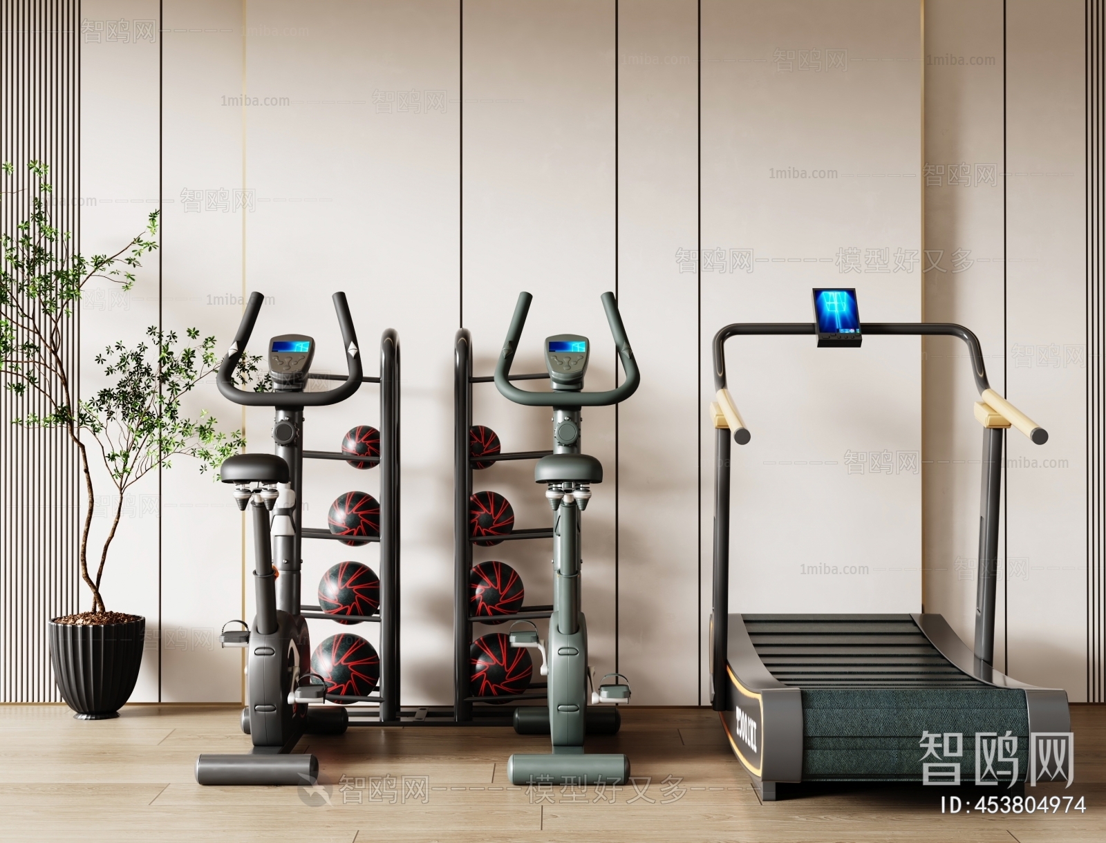 Modern Fitness Equipment