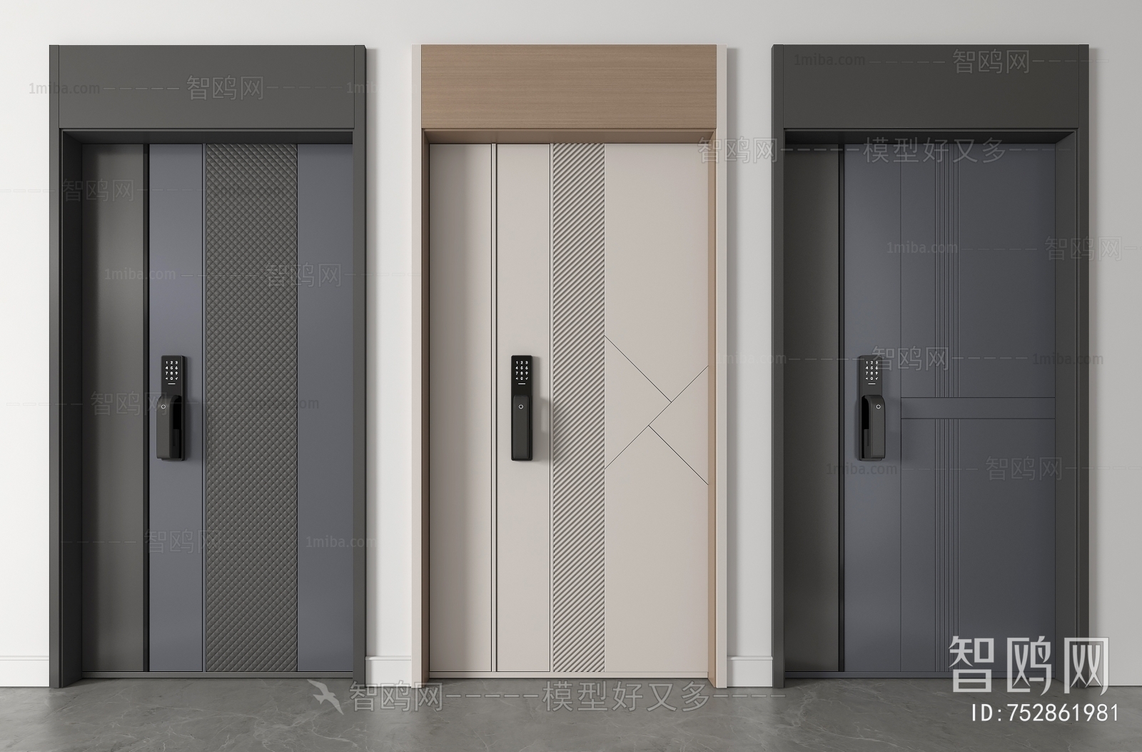 Modern Entrance Door