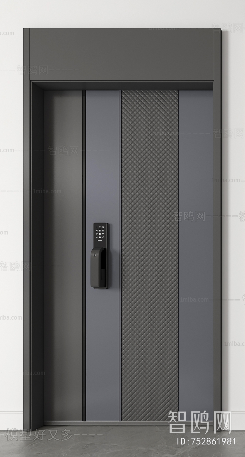 Modern Entrance Door