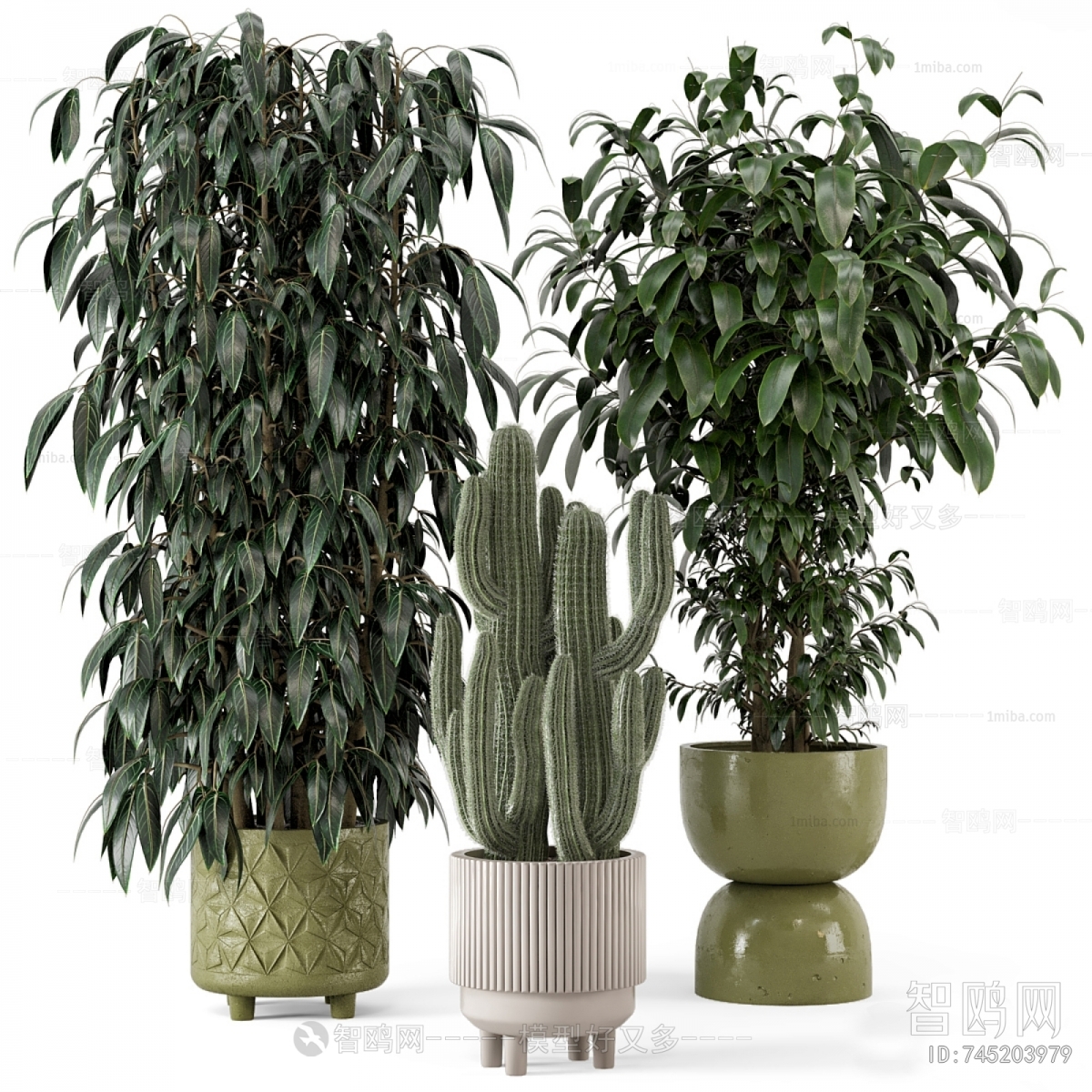 Modern Ground Green Plant Potted Plants