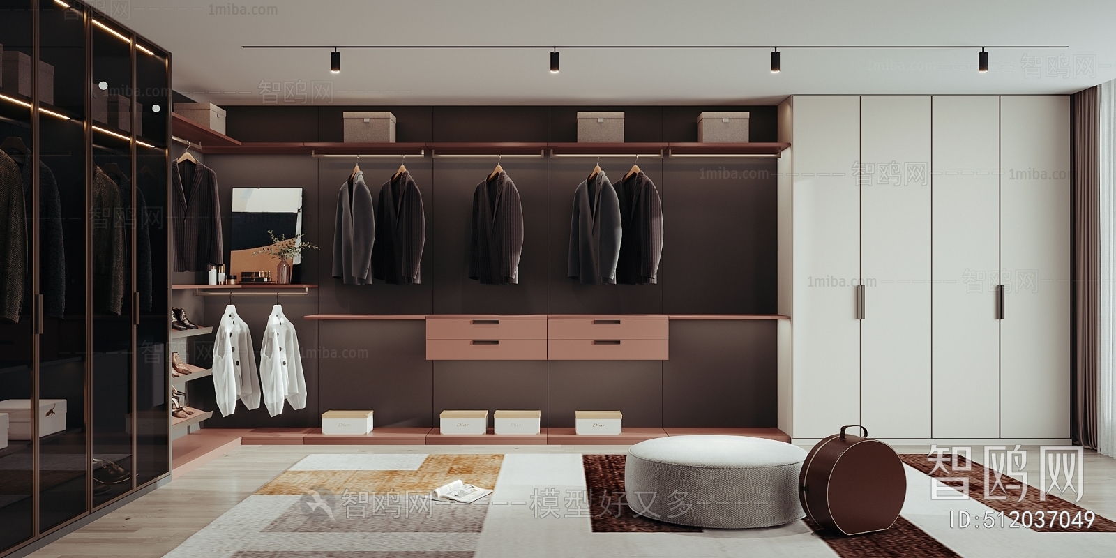 Modern Clothes Storage Area