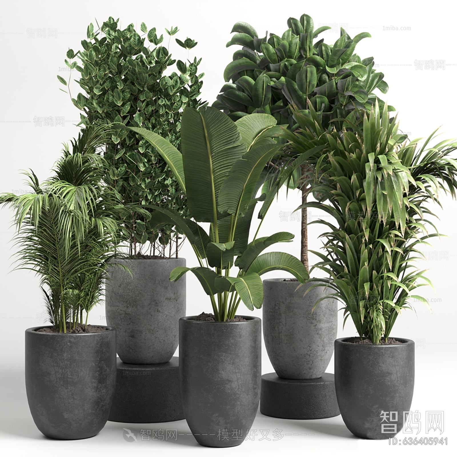 Modern Ground Green Plant Potted Plants