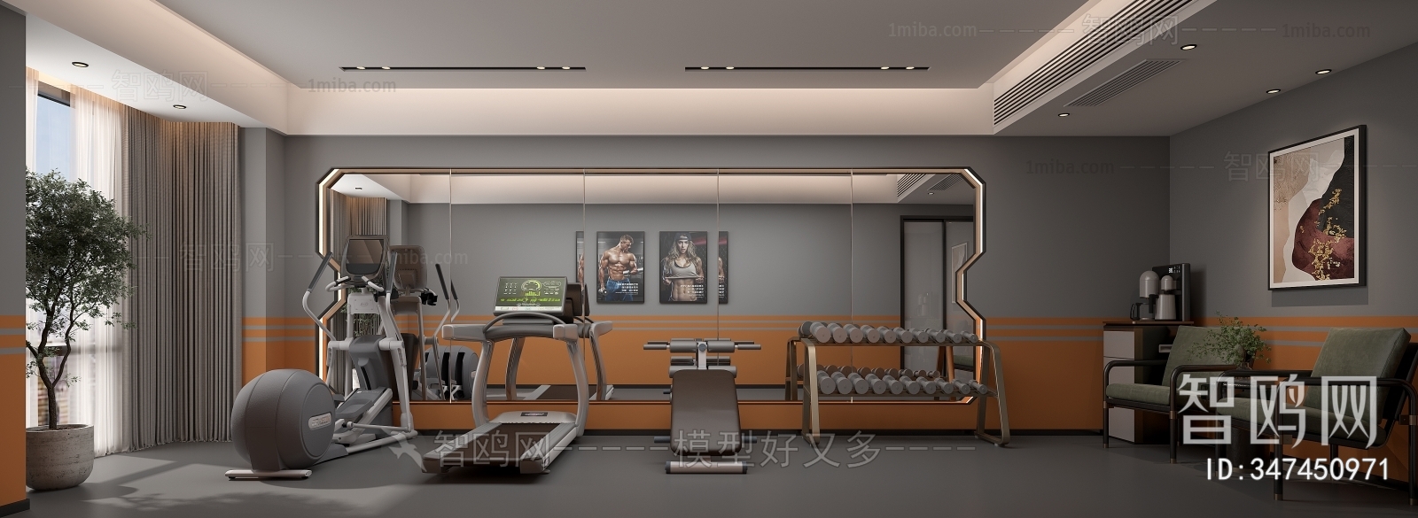 Modern Home Fitness Room