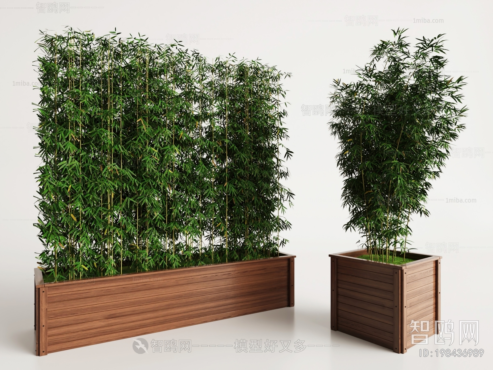 现代花坛 景观竹子