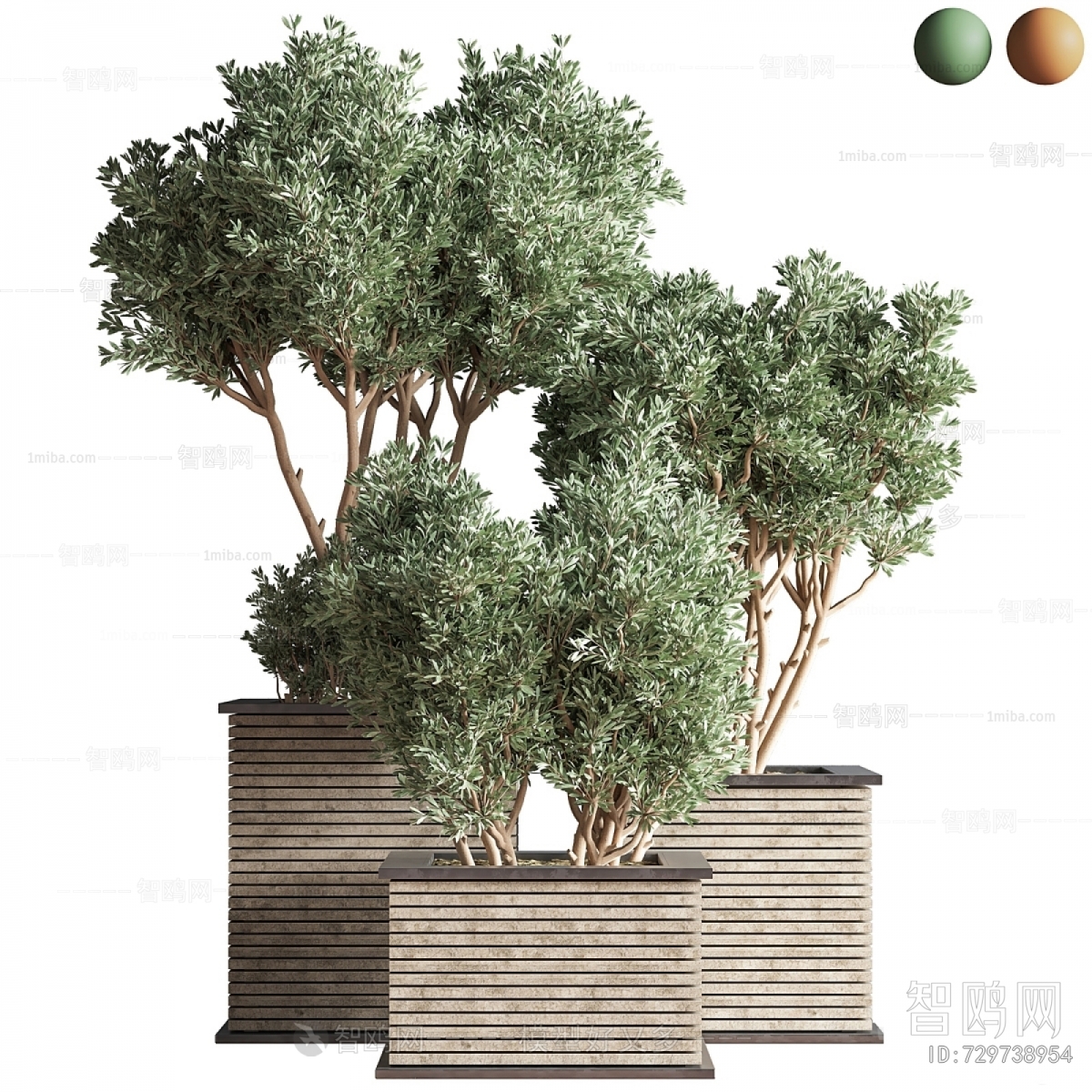 现代花箱 植物树