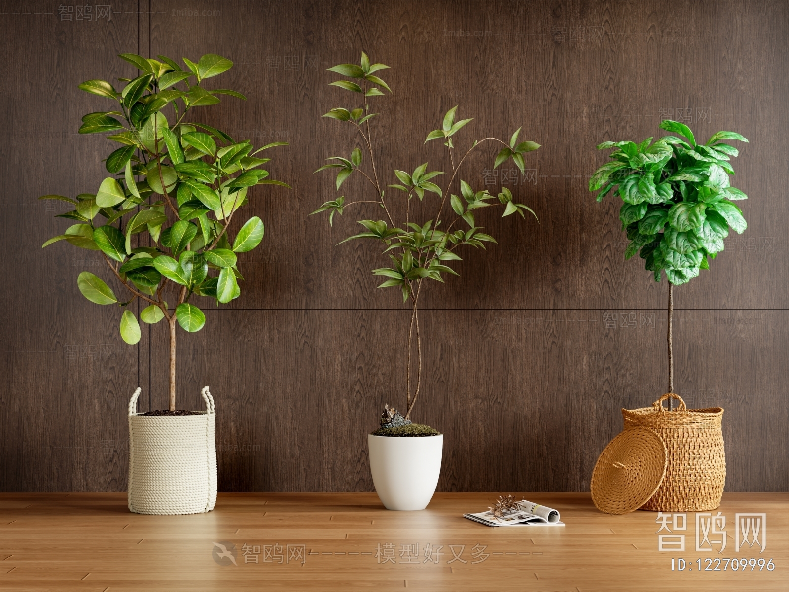 Modern Ground Green Plant Potted Plants