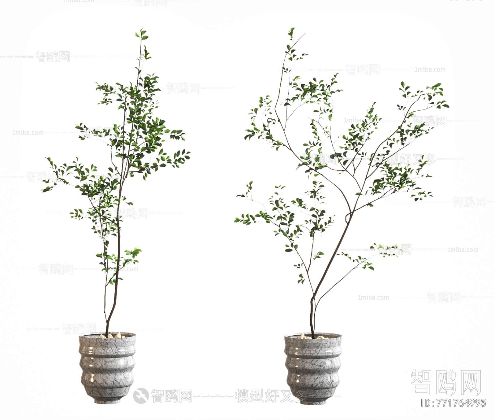 现代绿植盆栽