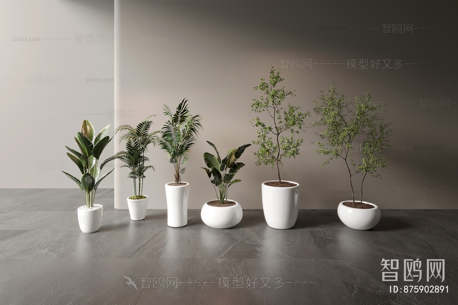 Modern Ground Green Plant Potted Plants