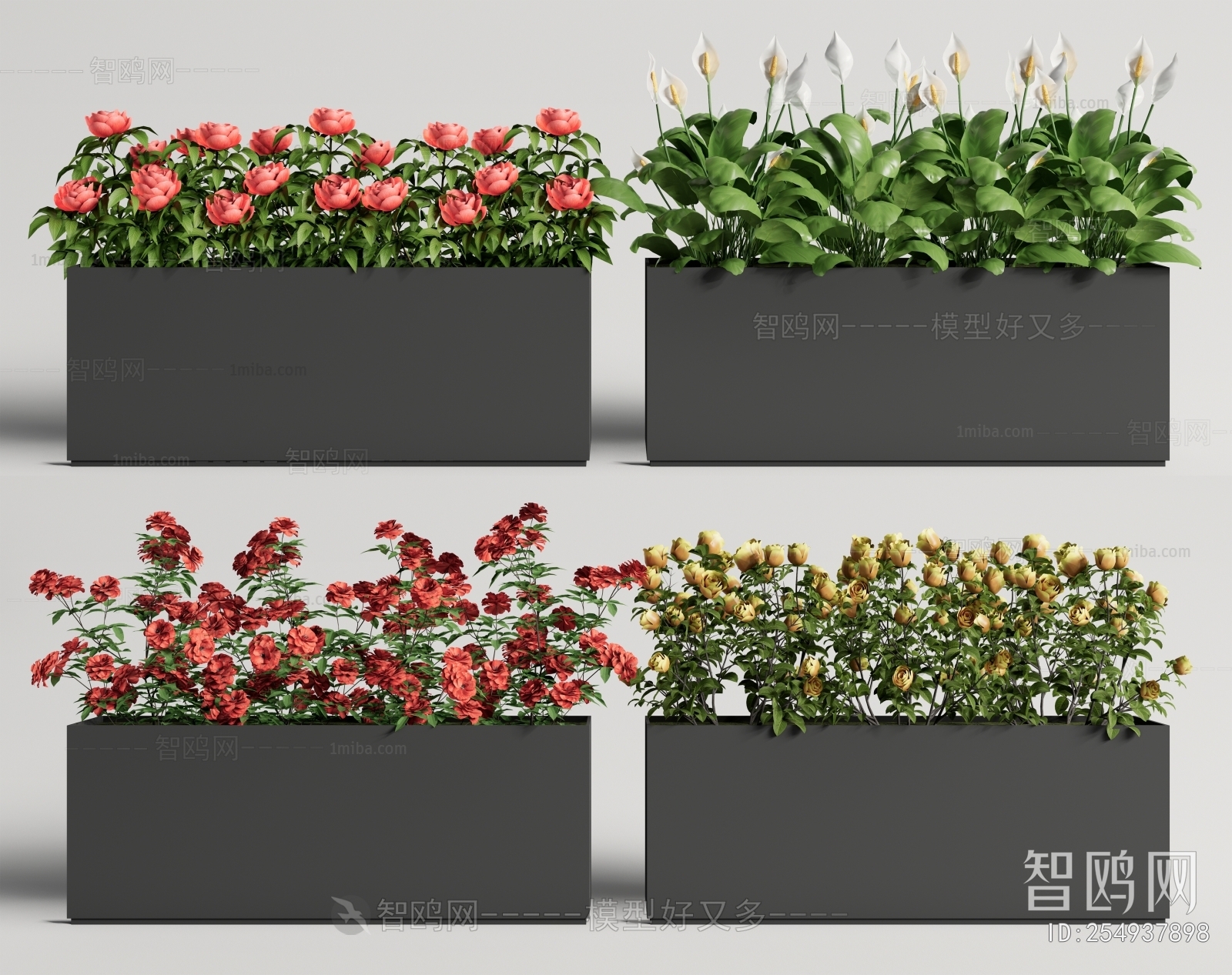 Modern Flower Bed, Flower Bowl, Flower Box