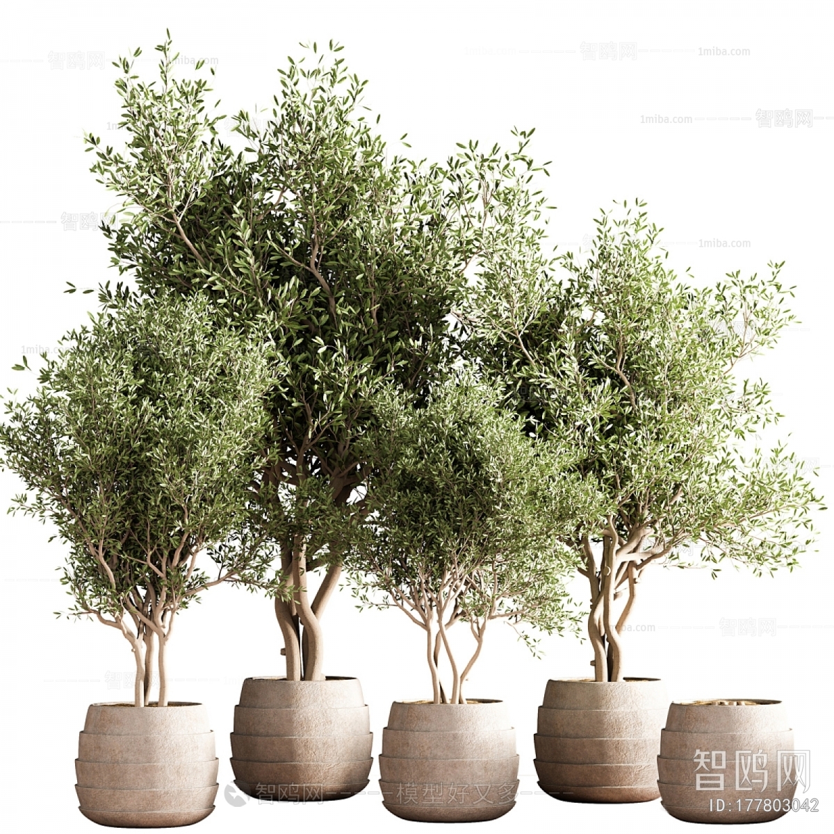 Modern Ground Green Plant Potted Plants