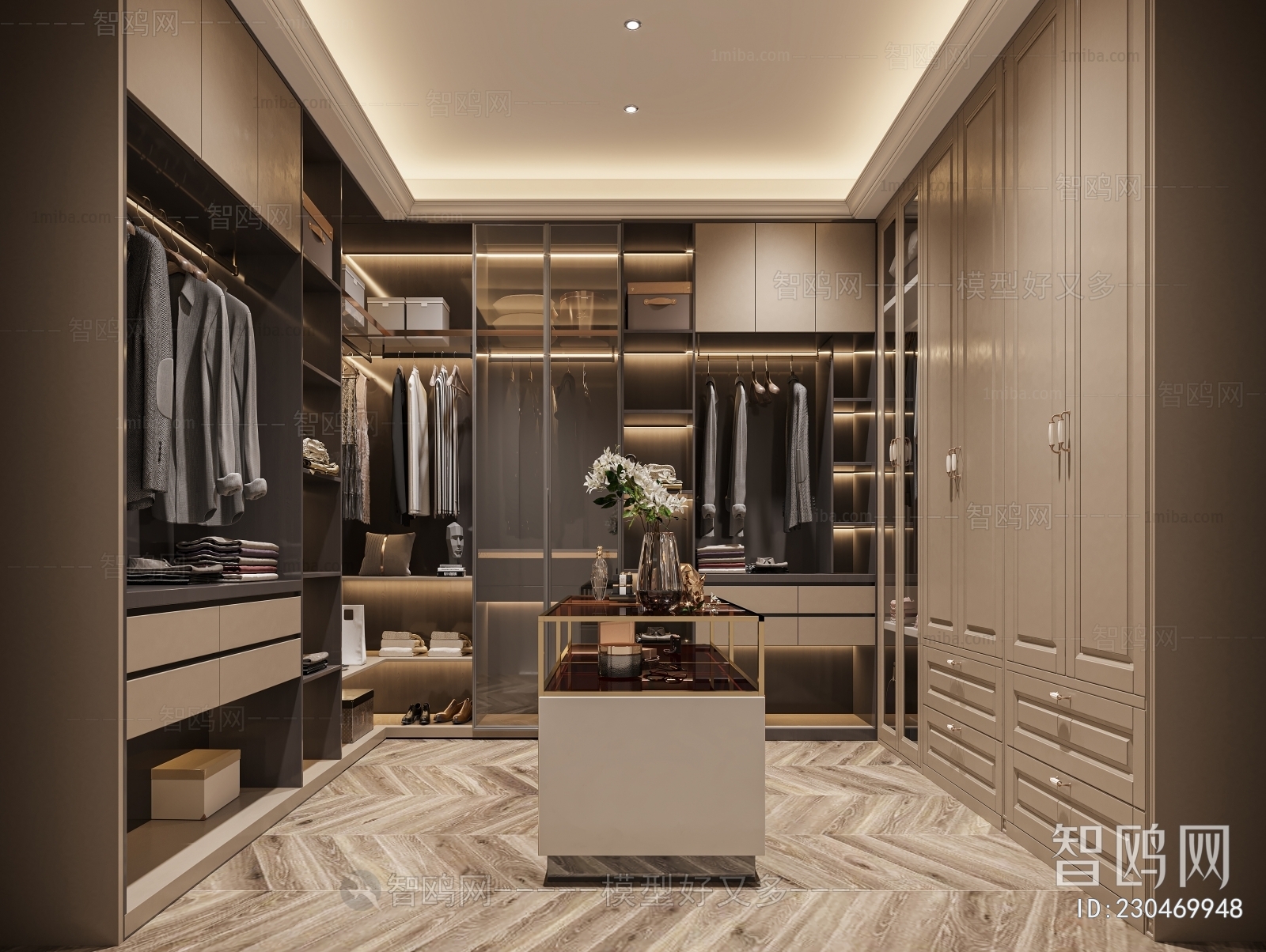 Modern Clothes Storage Area