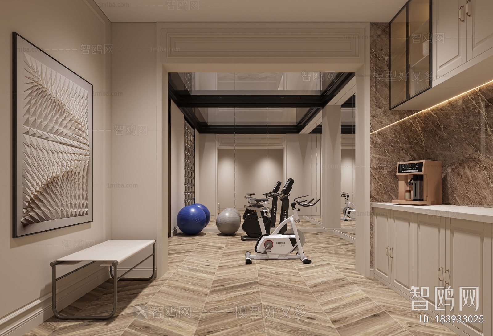 Modern Home Fitness Room