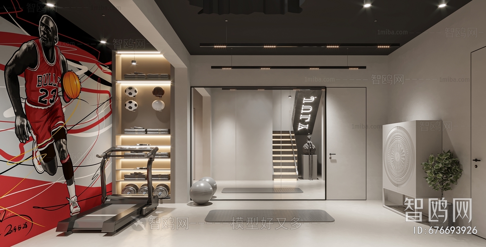 Modern Home Fitness Room