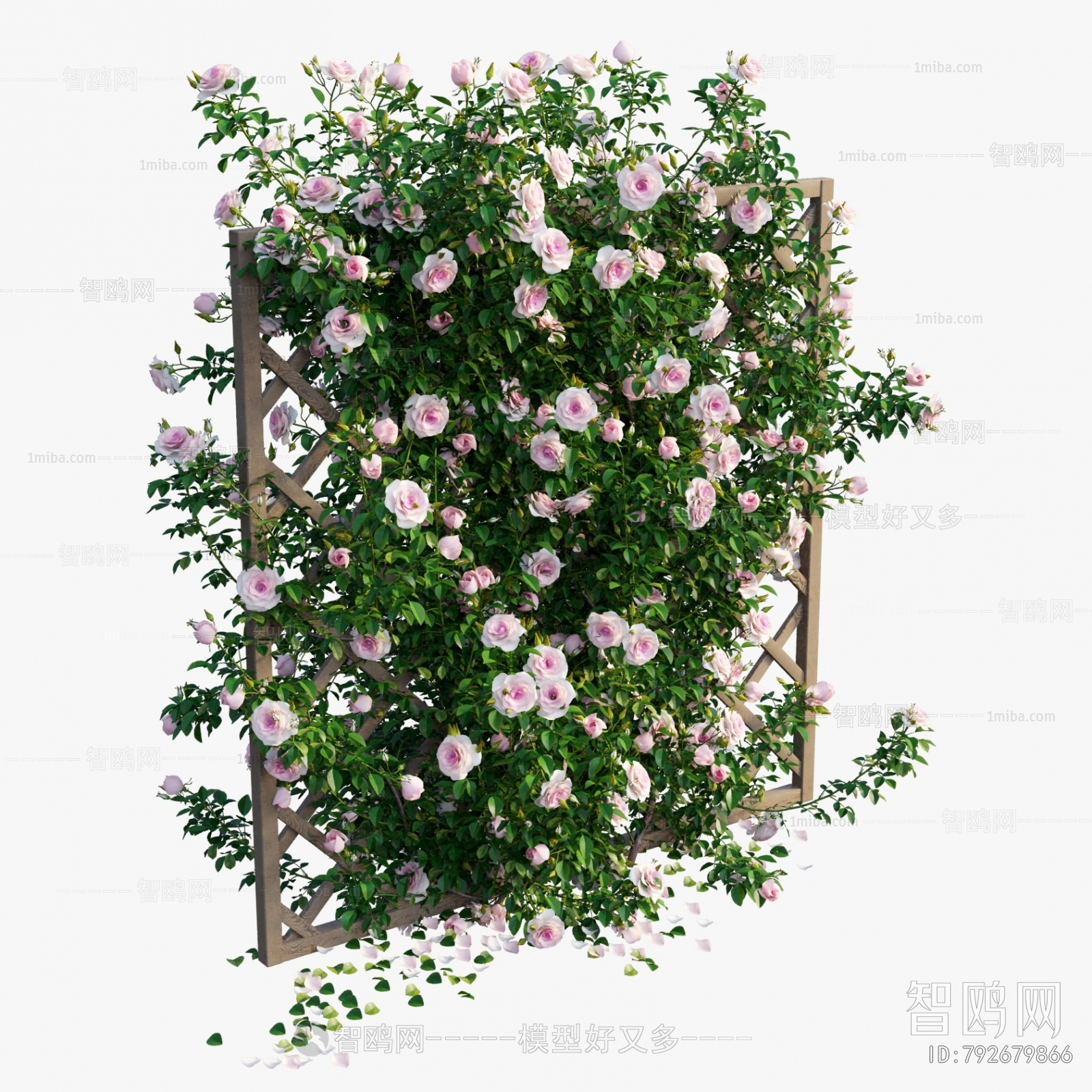 现代玫瑰花栅栏植物墙